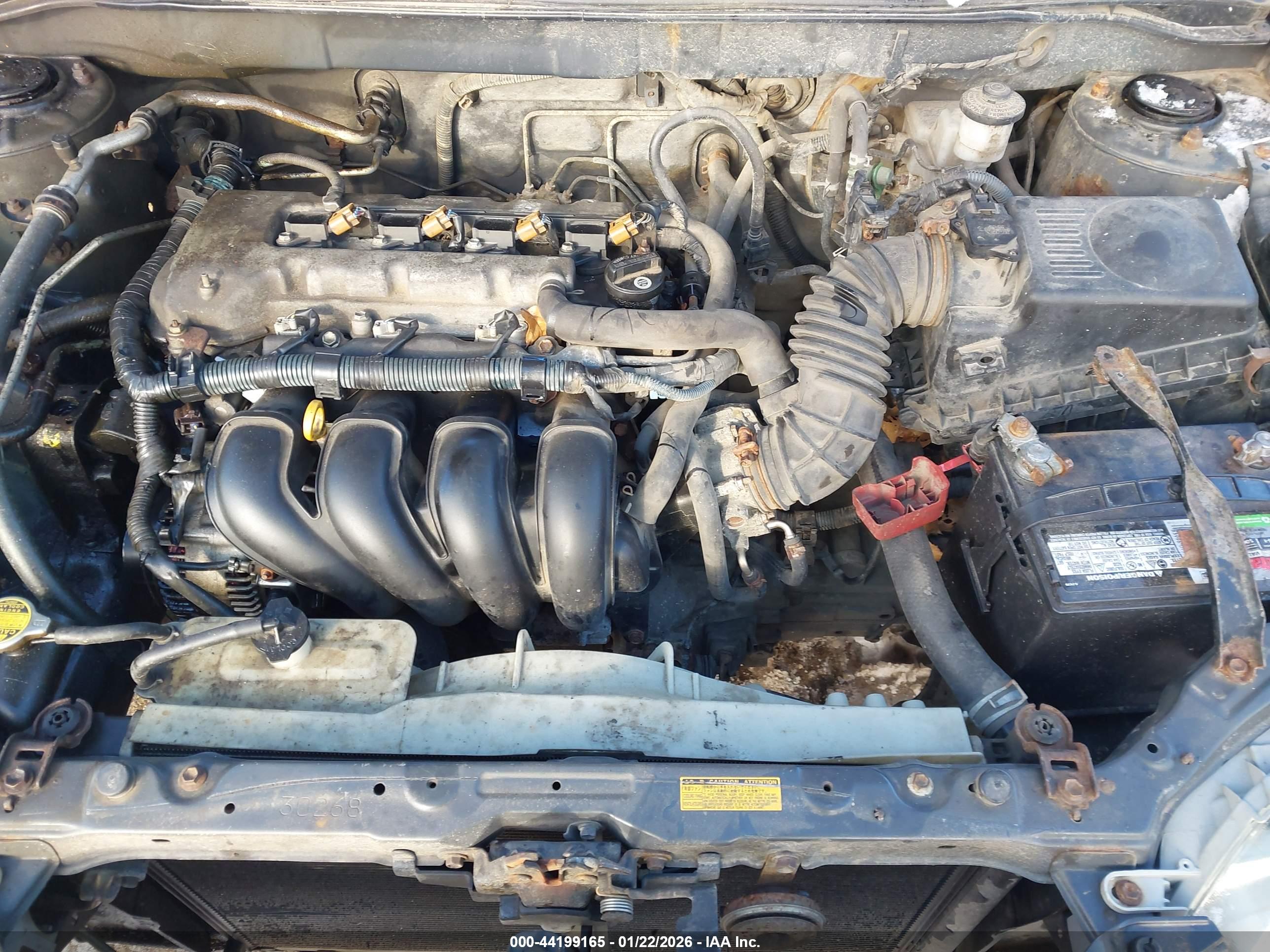 TOYOTA COROLLA image 10