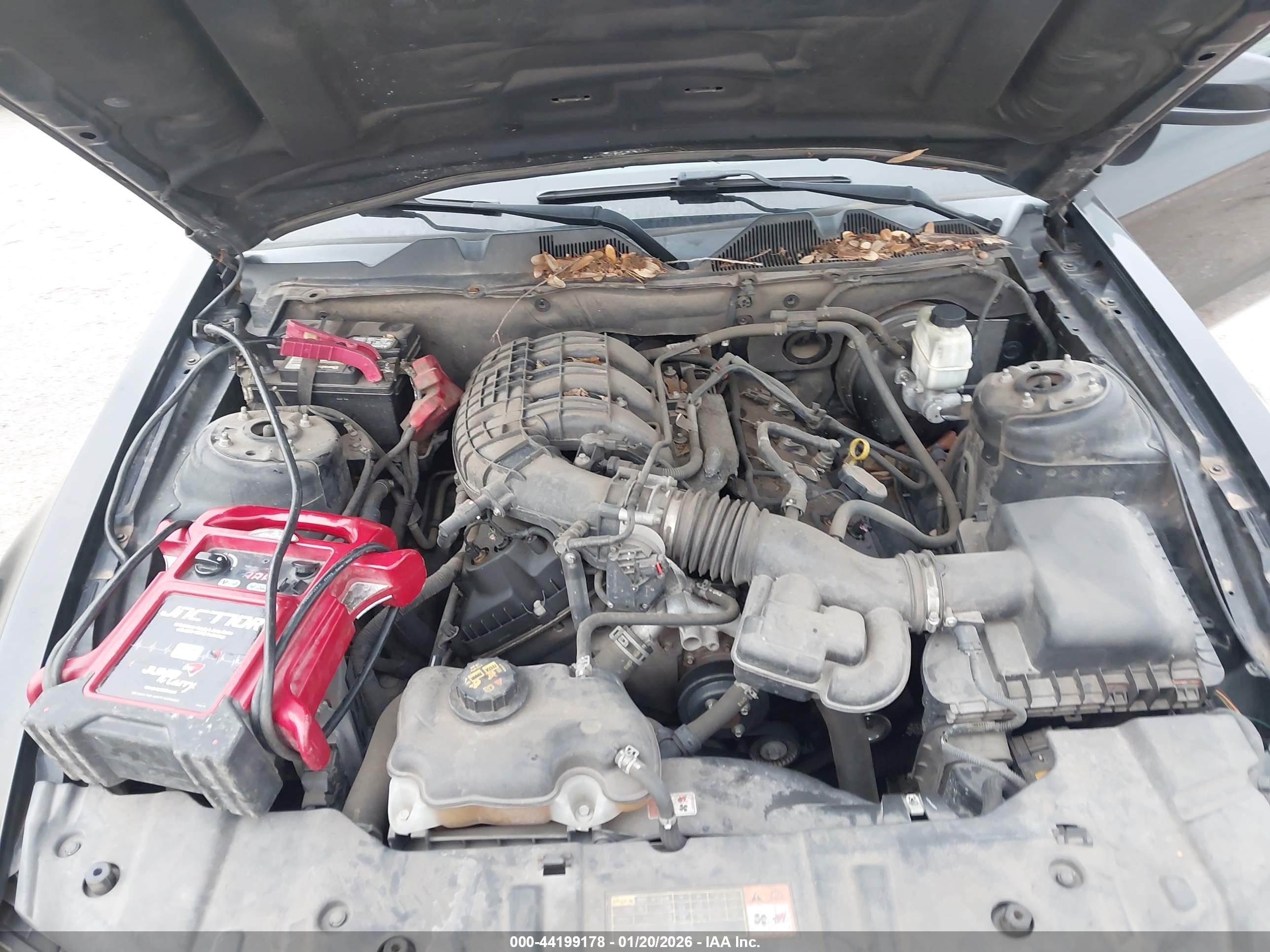 FORD MUSTANG image 10