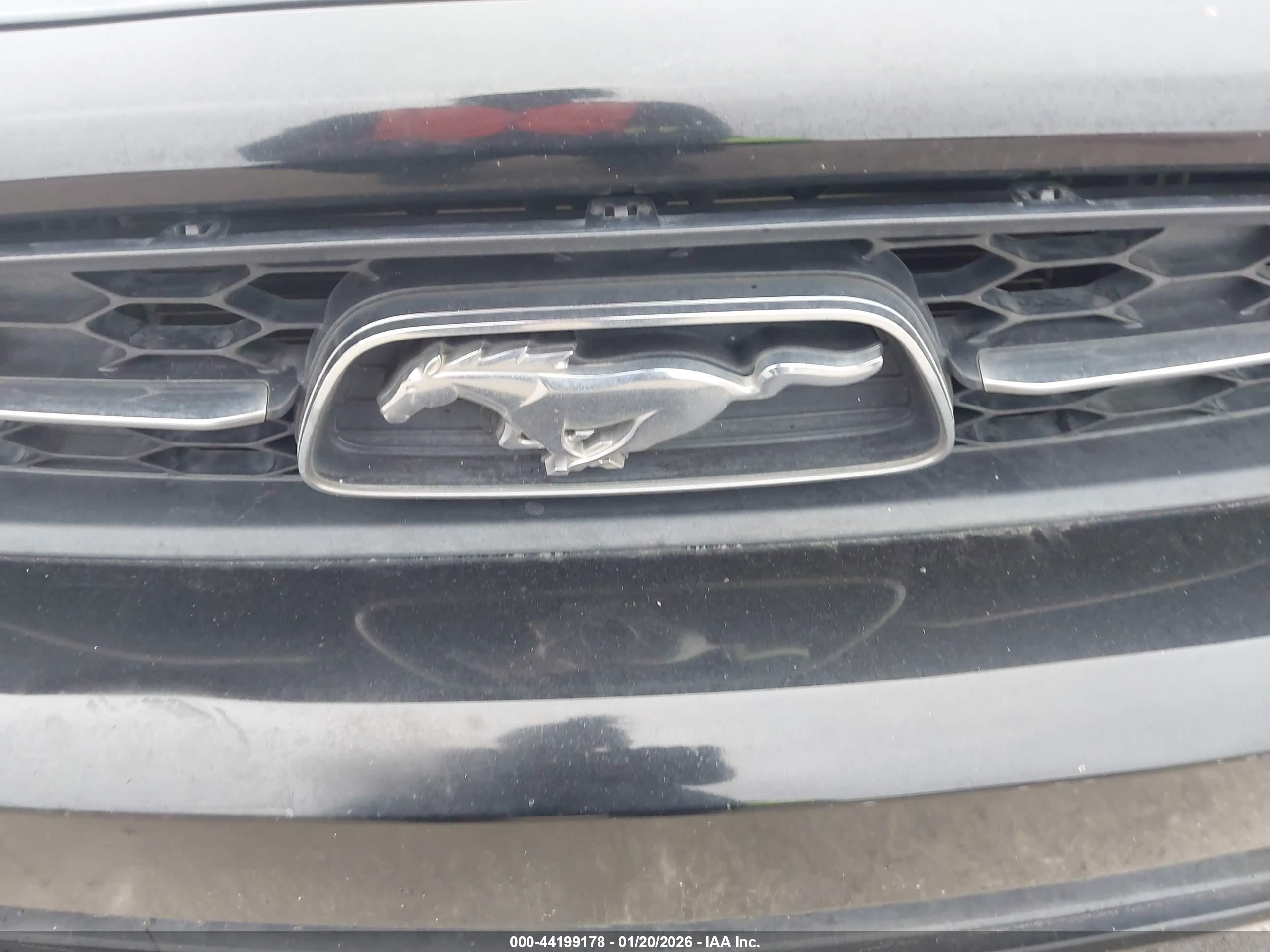 FORD MUSTANG image 6
