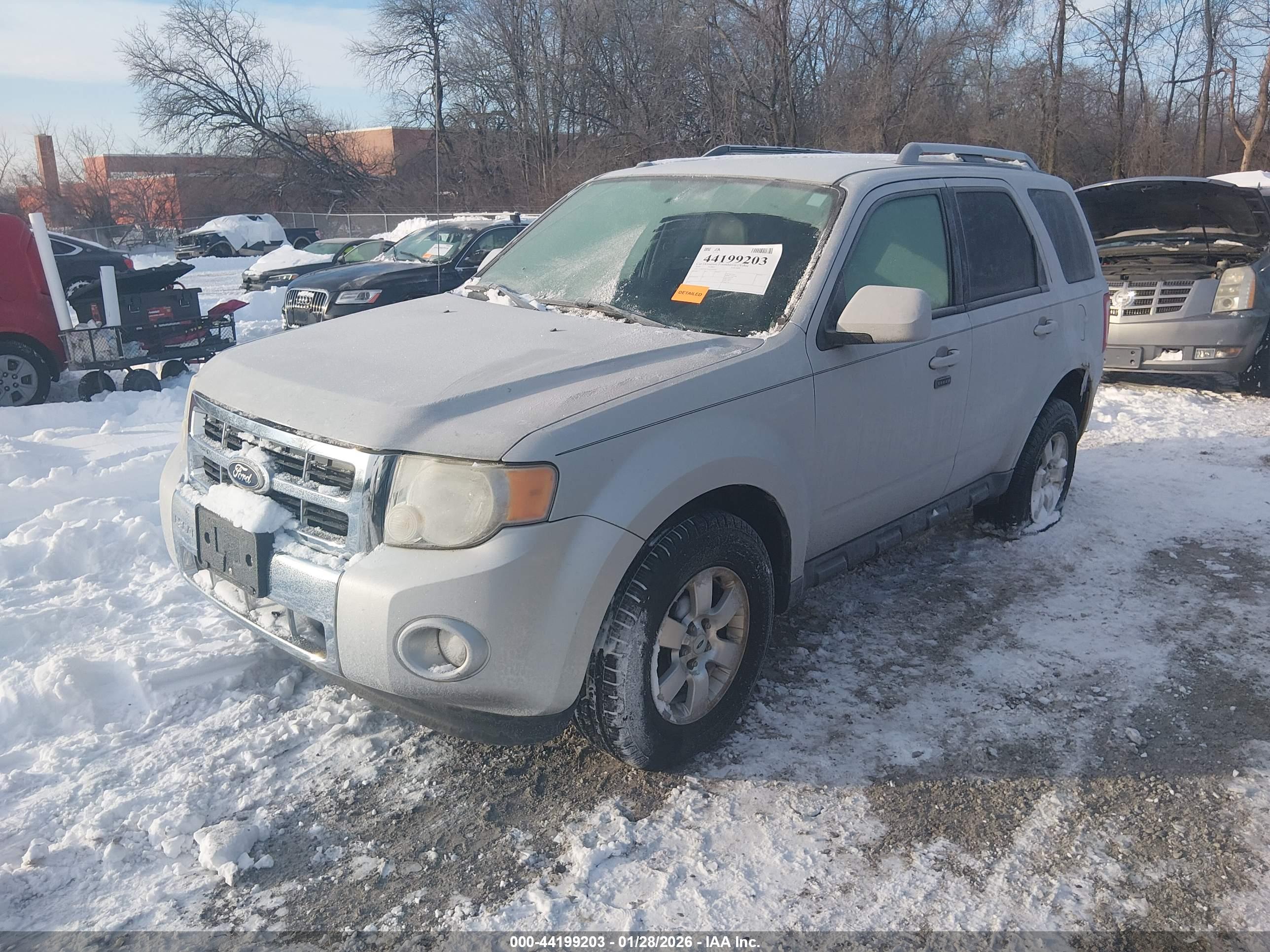 FORD ESCAPE image 2