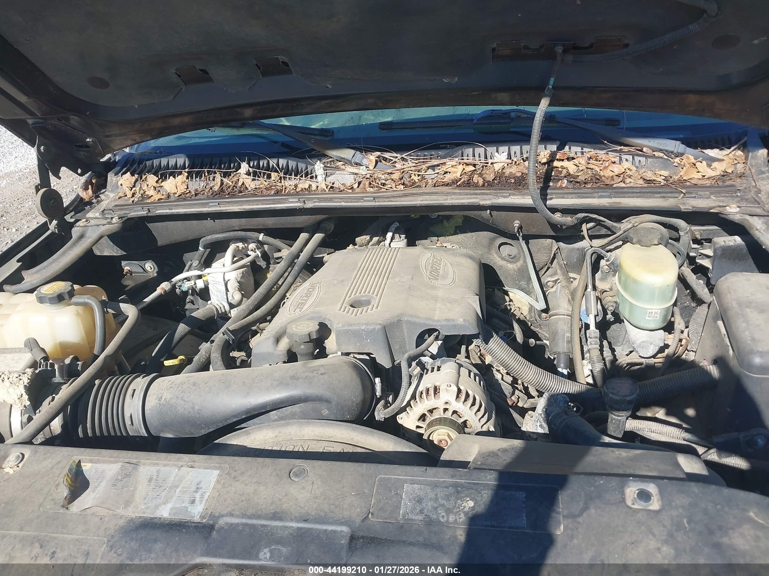 CHEVROLET SILVERADO image 10
