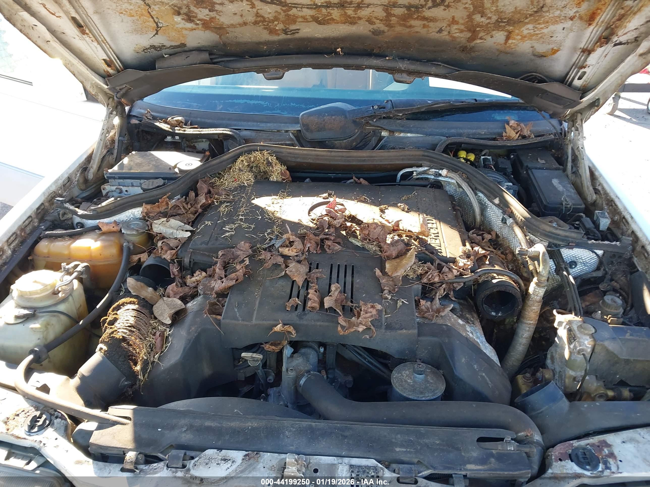 MERCEDES-BENZ 400 image 10