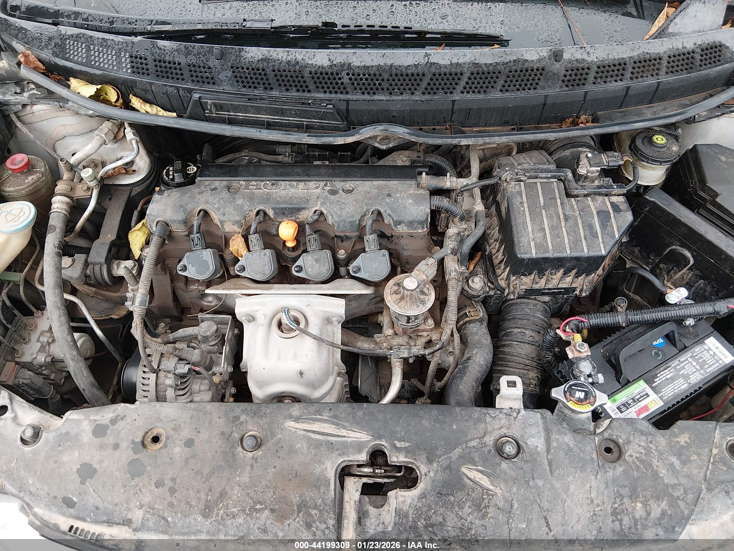 HONDA CIVIC image 10