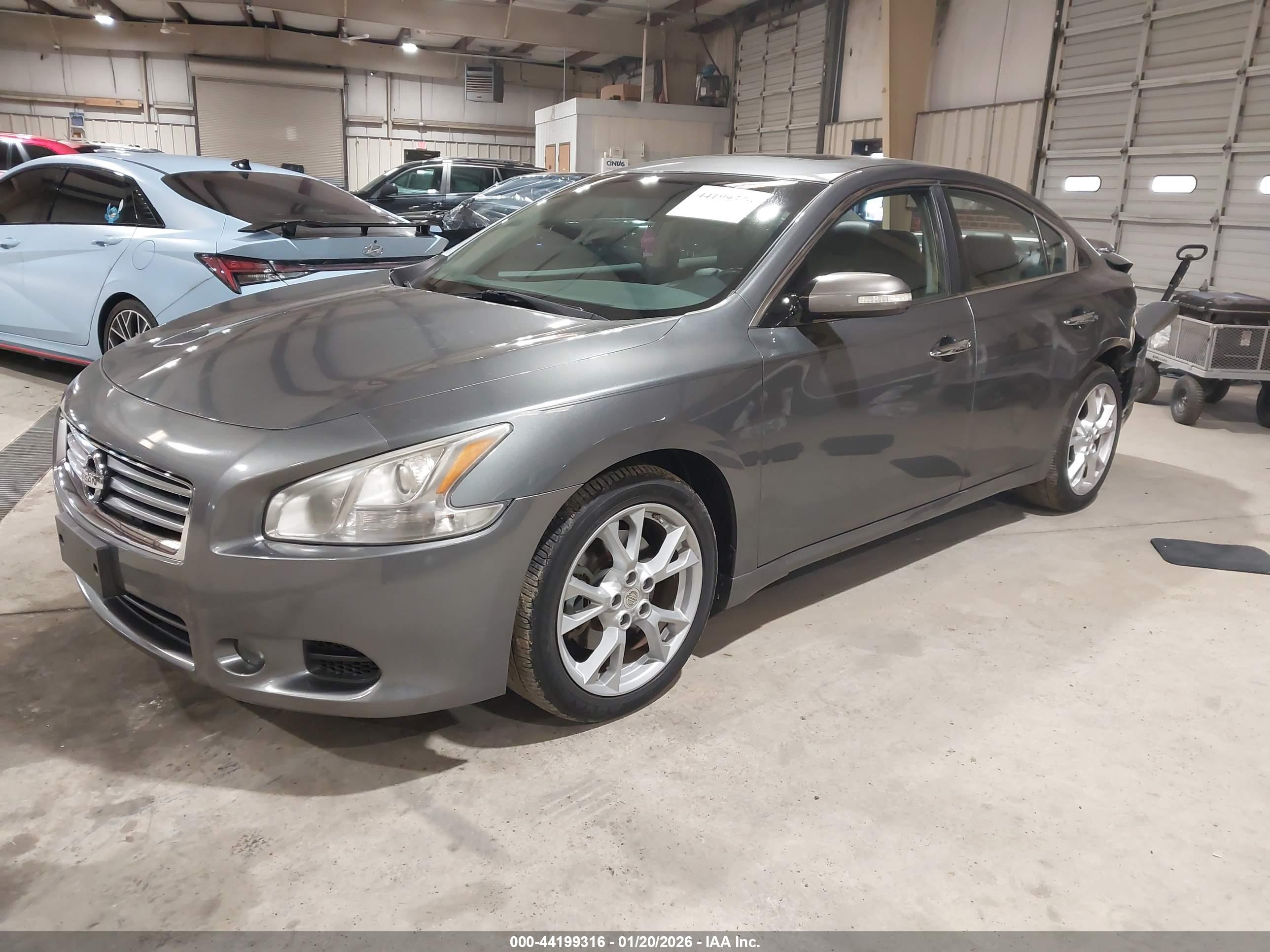 NISSAN MAXIMA image 2