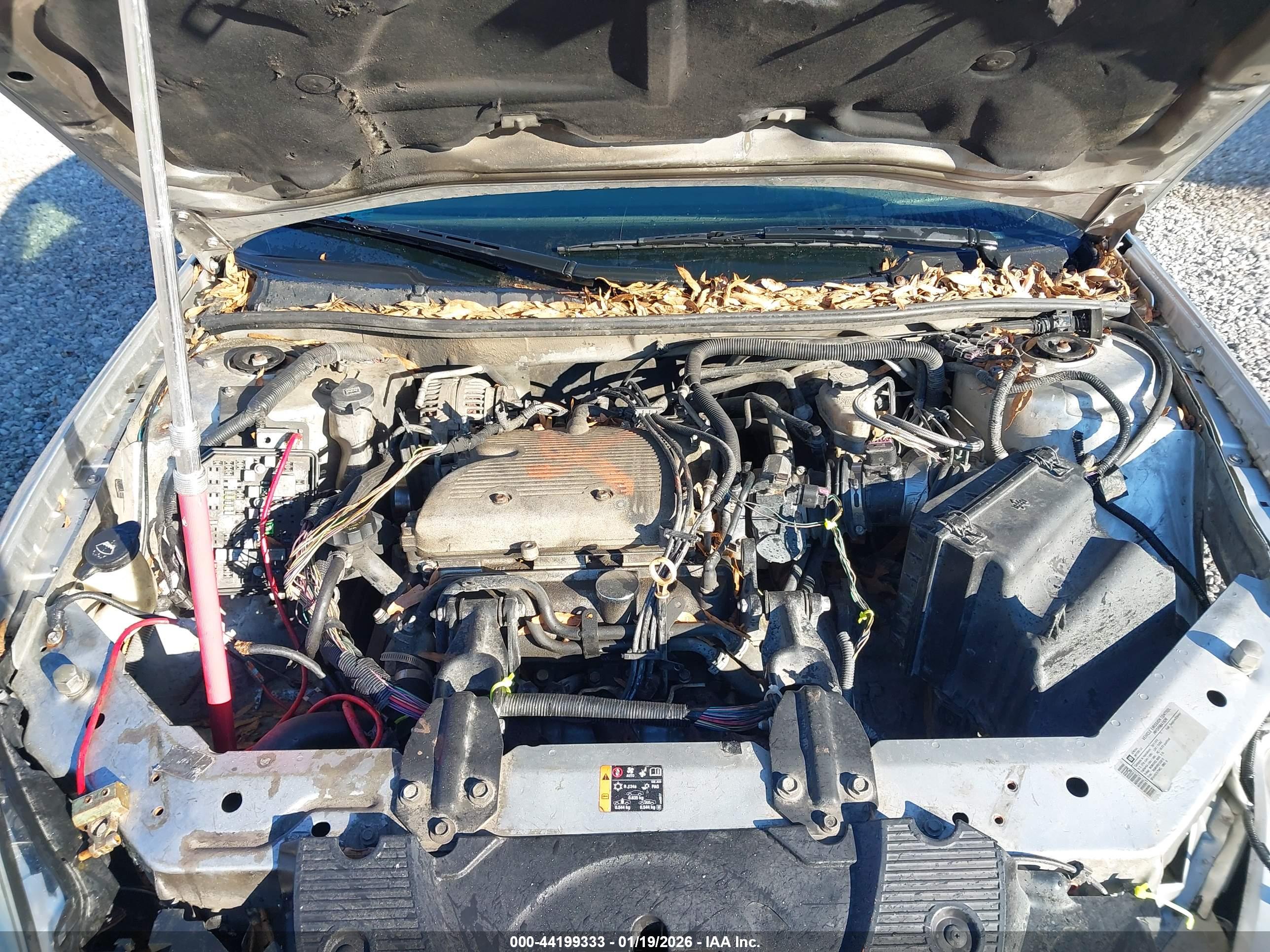 CHEVROLET IMPALA image 10