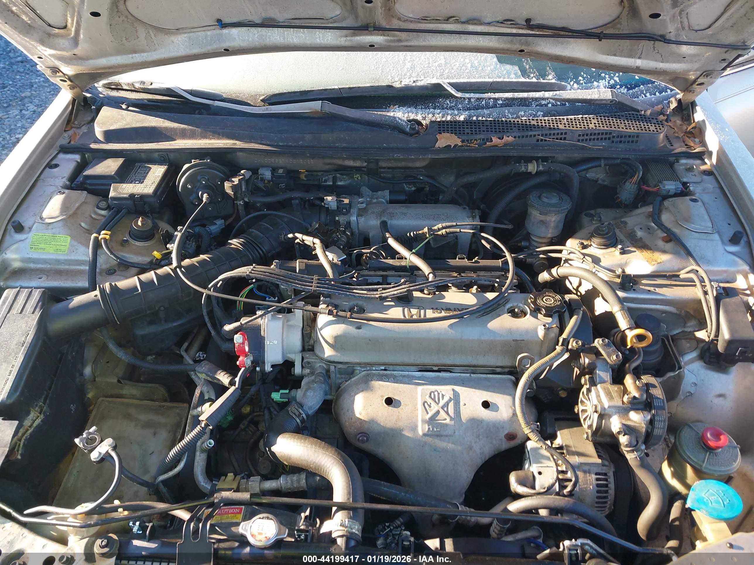 HONDA ACCORD image 10