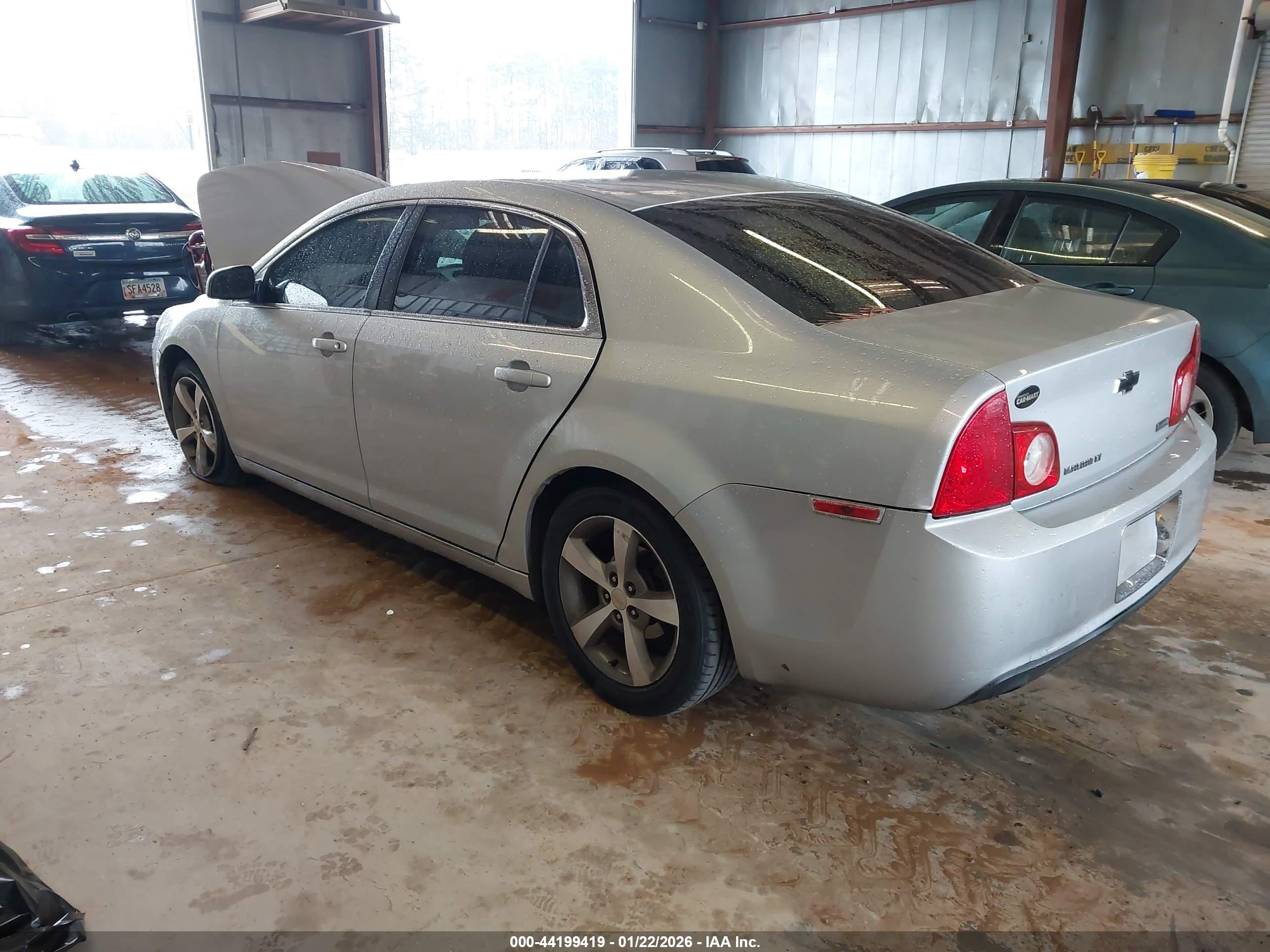 CHEVROLET MALIBU image 3
