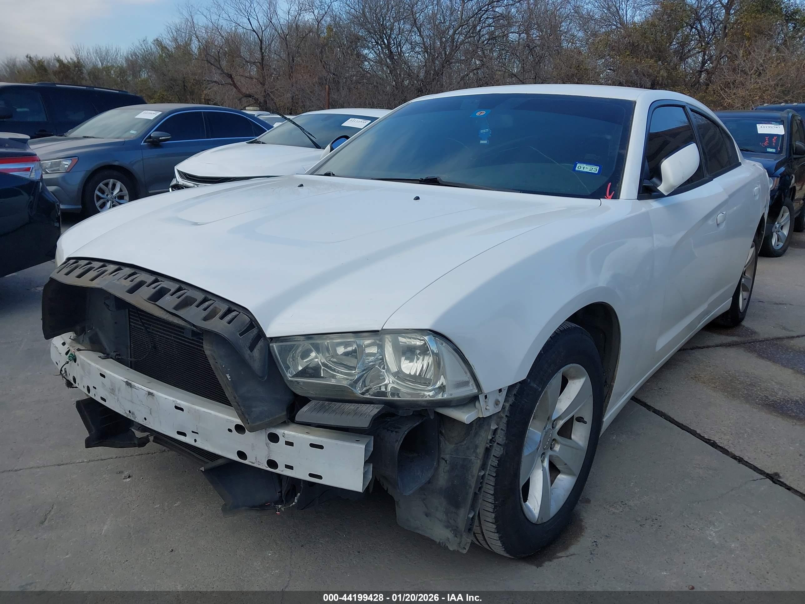 DODGE CHARGER image 2
