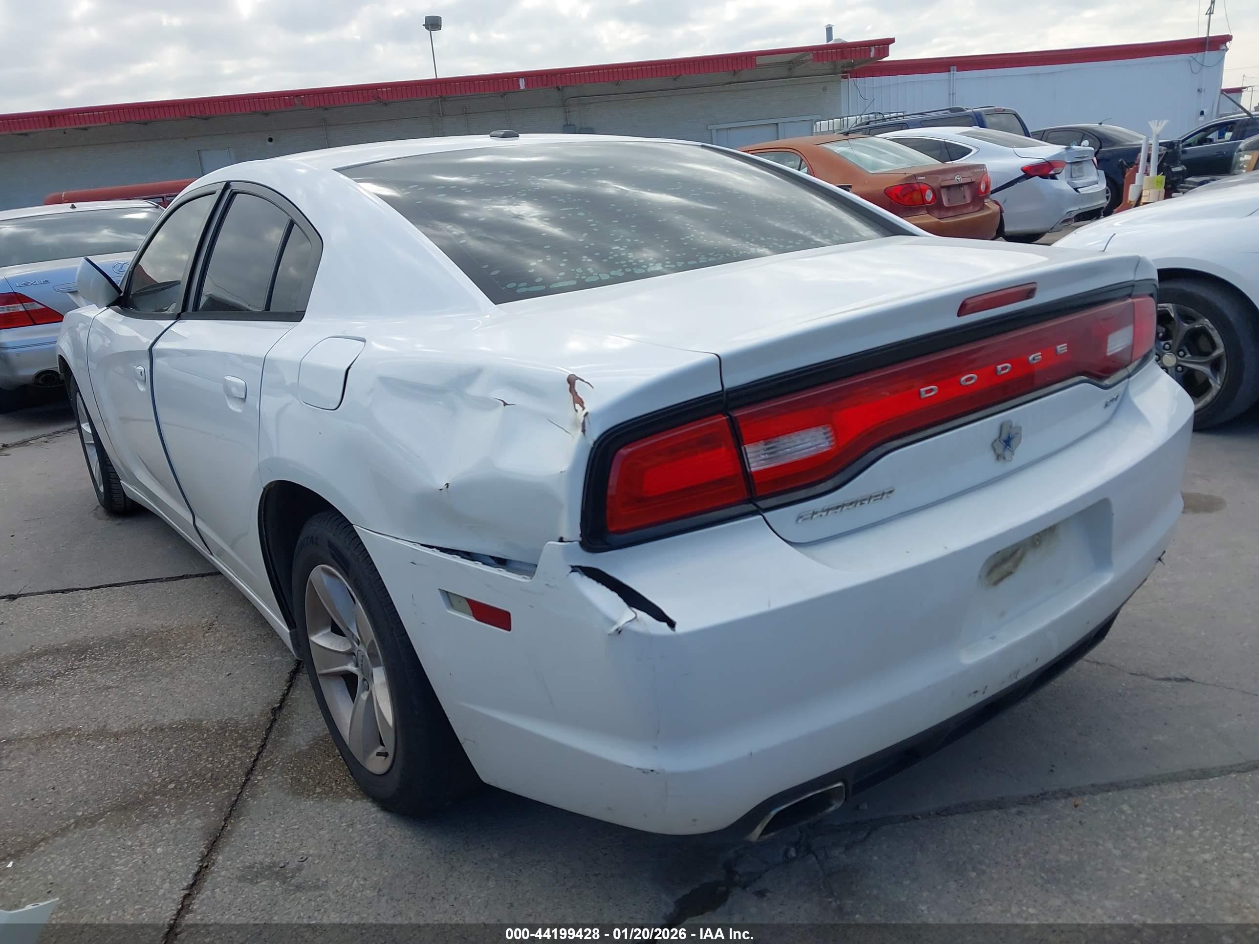 DODGE CHARGER image 3