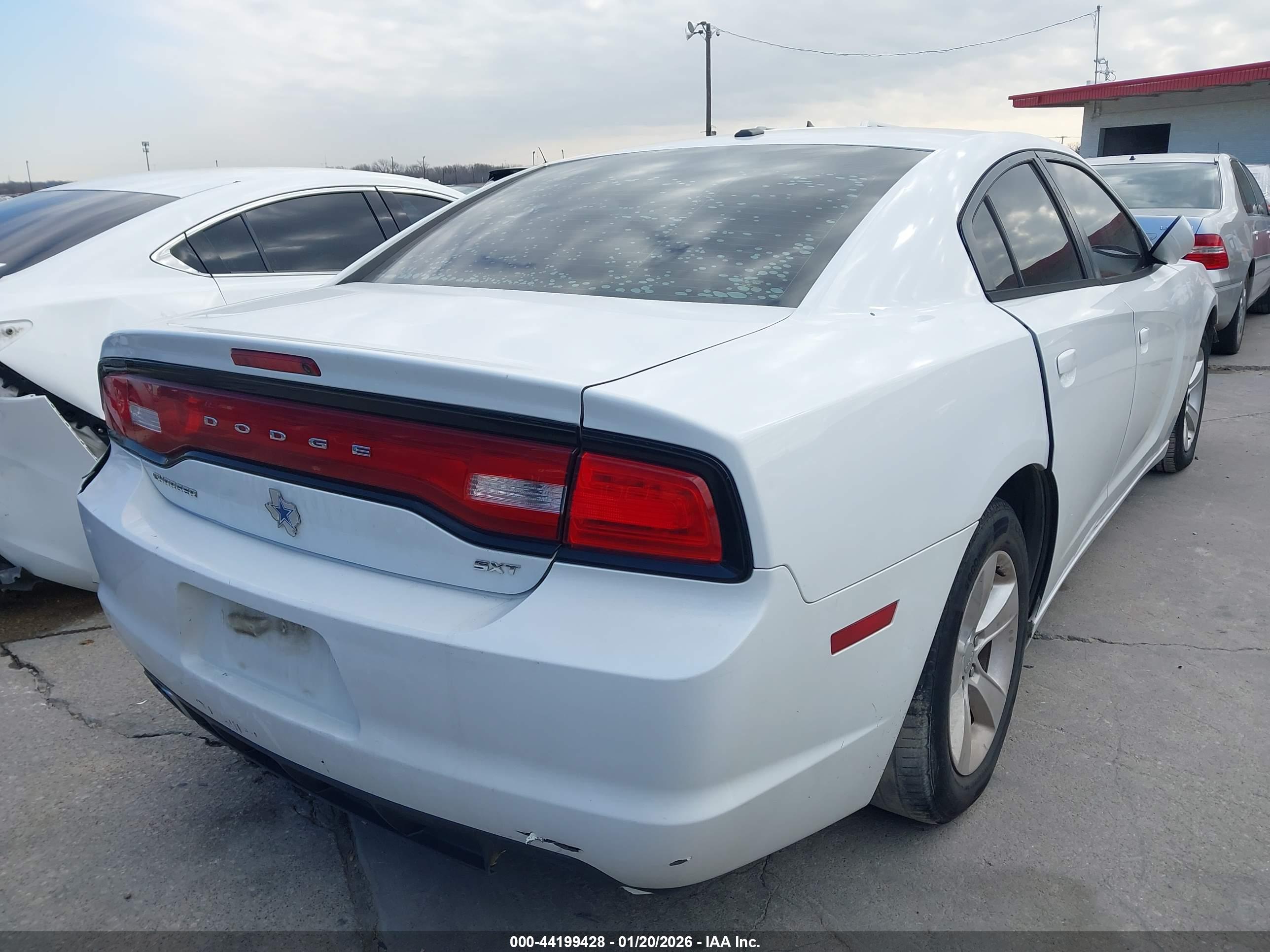 DODGE CHARGER image 4