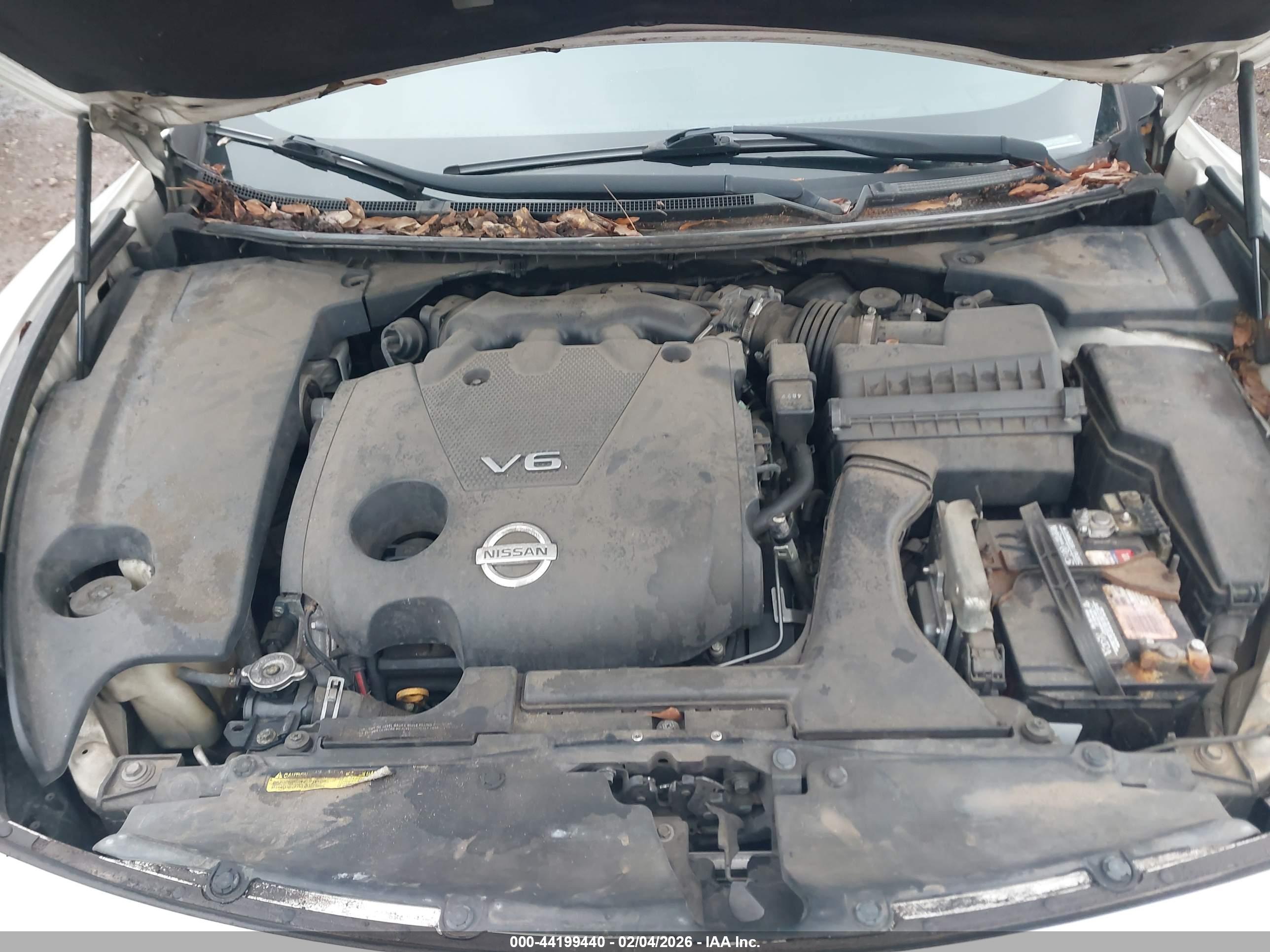 NISSAN MAXIMA image 10