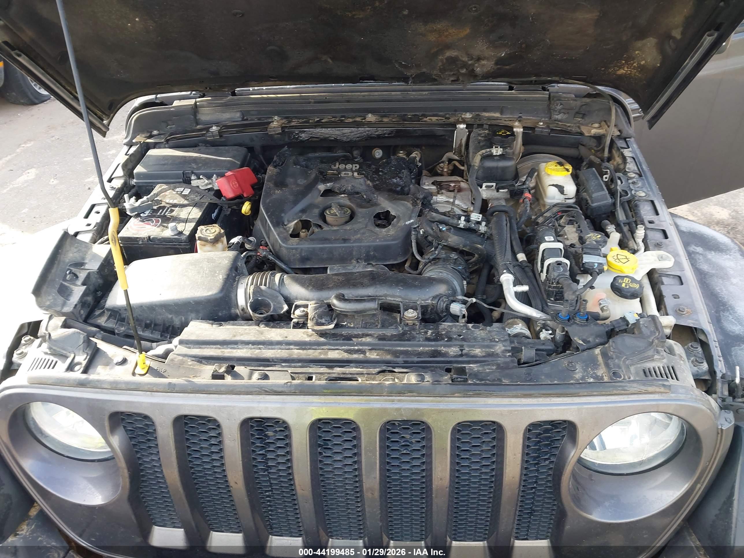 JEEP WRANGLER image 10