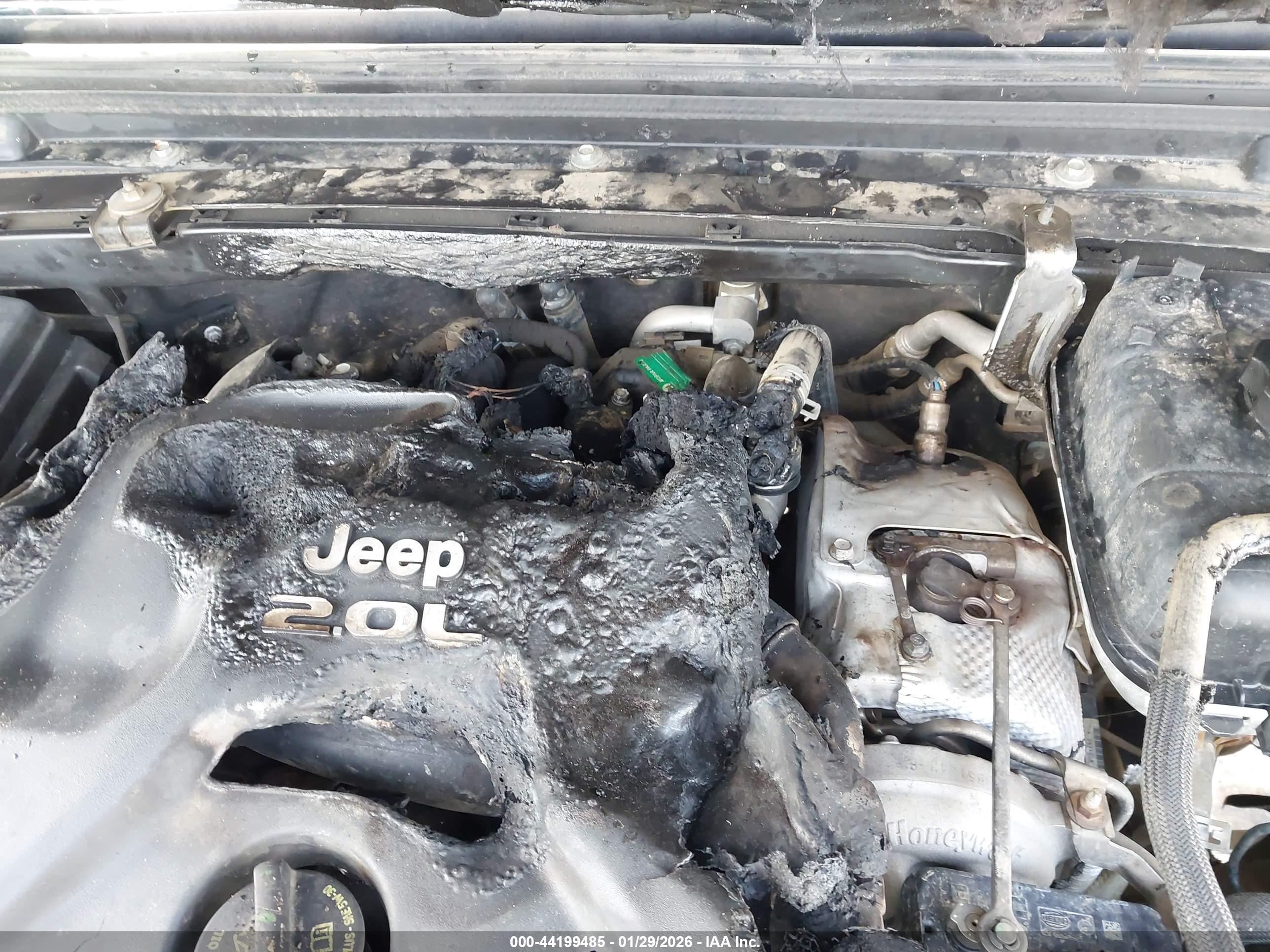 JEEP WRANGLER image 6