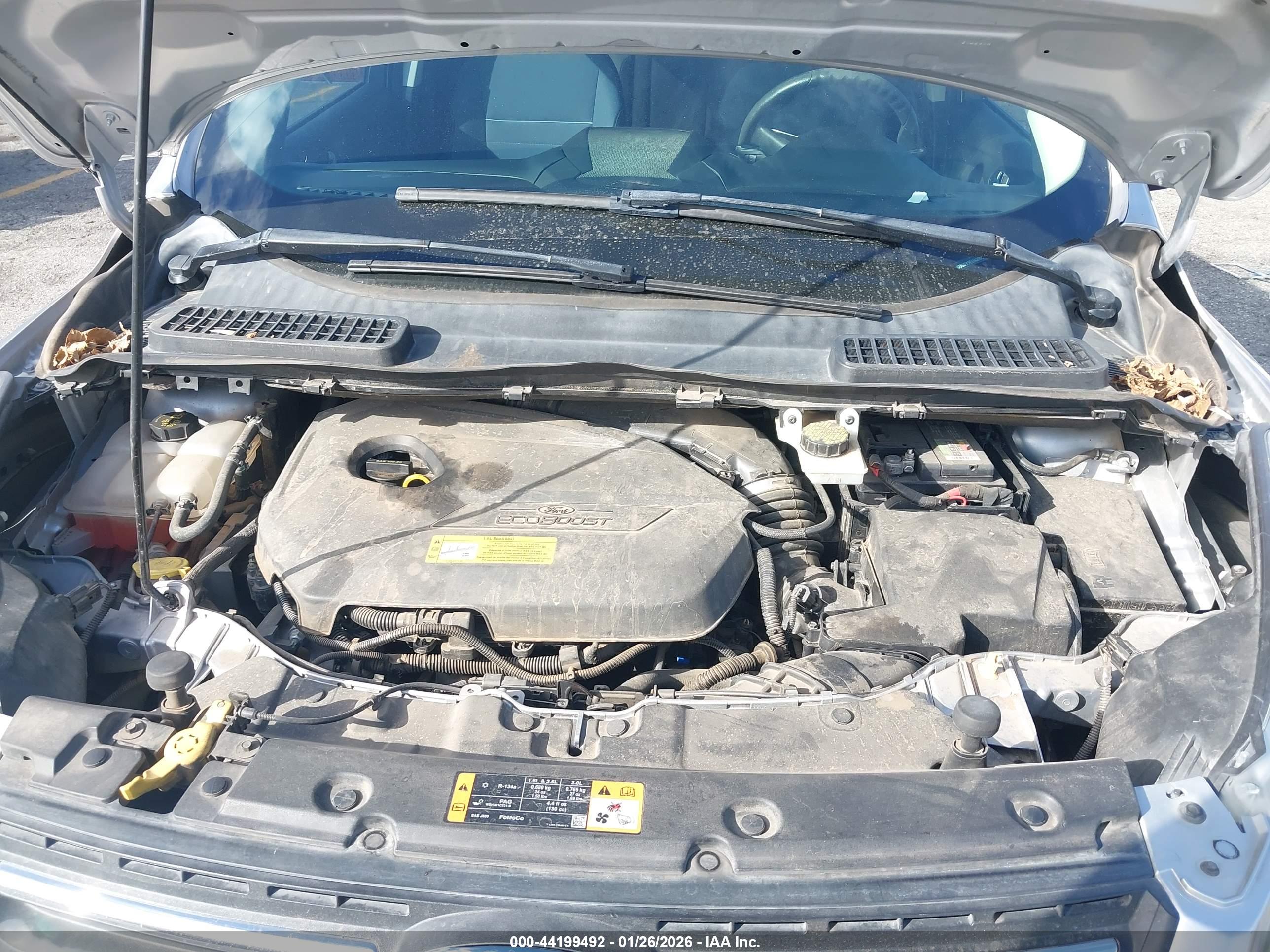 FORD ESCAPE image 10