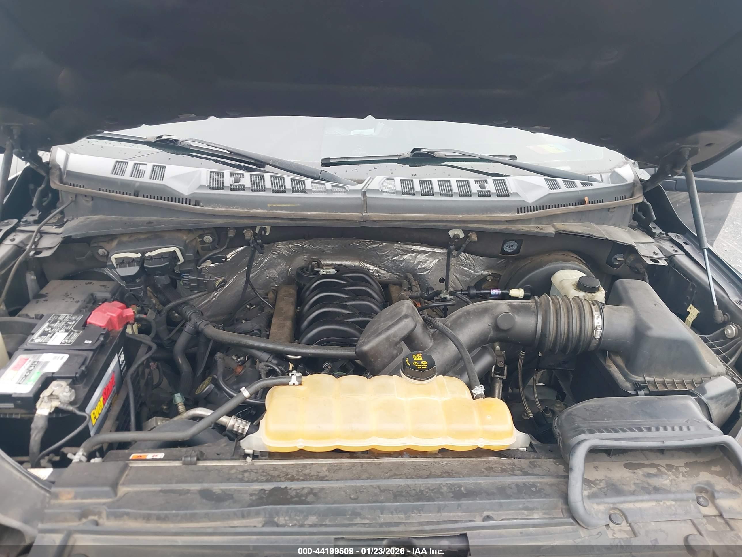 FORD F-150 image 10
