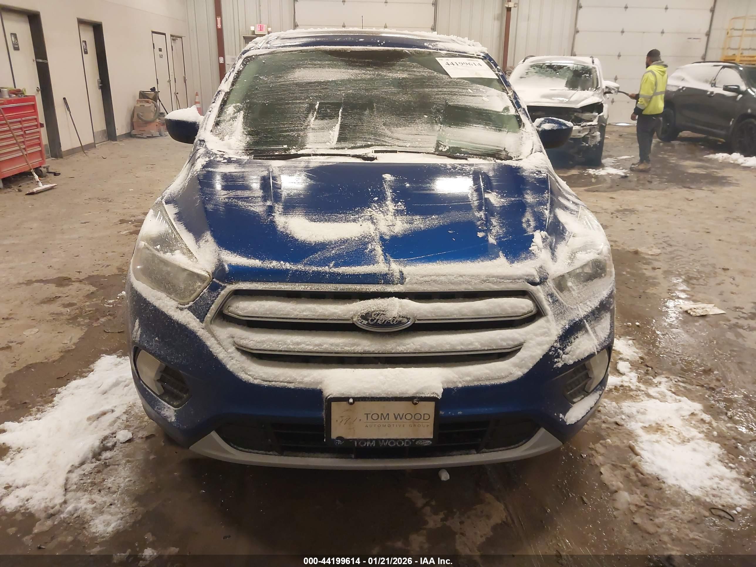 FORD ESCAPE image 6