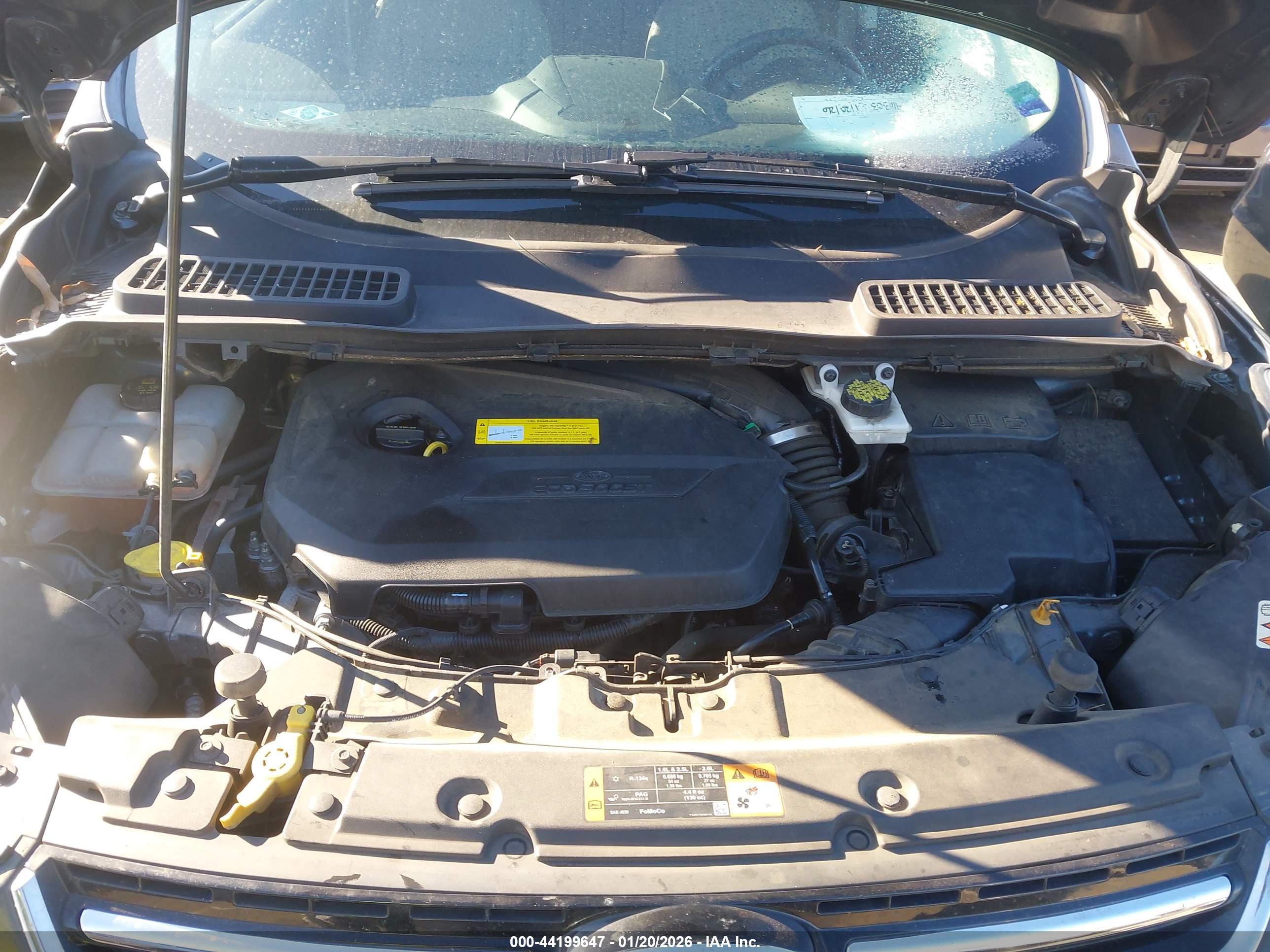 FORD ESCAPE image 10