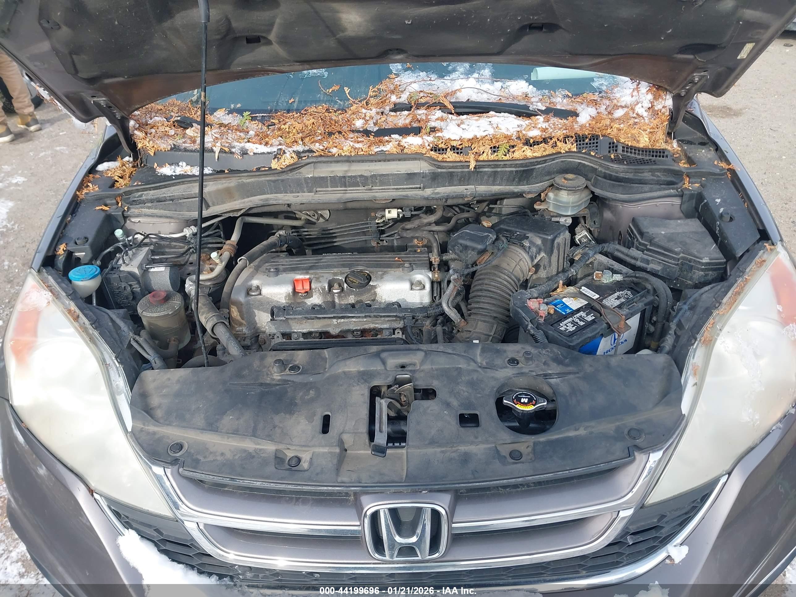 HONDA CR-V image 10