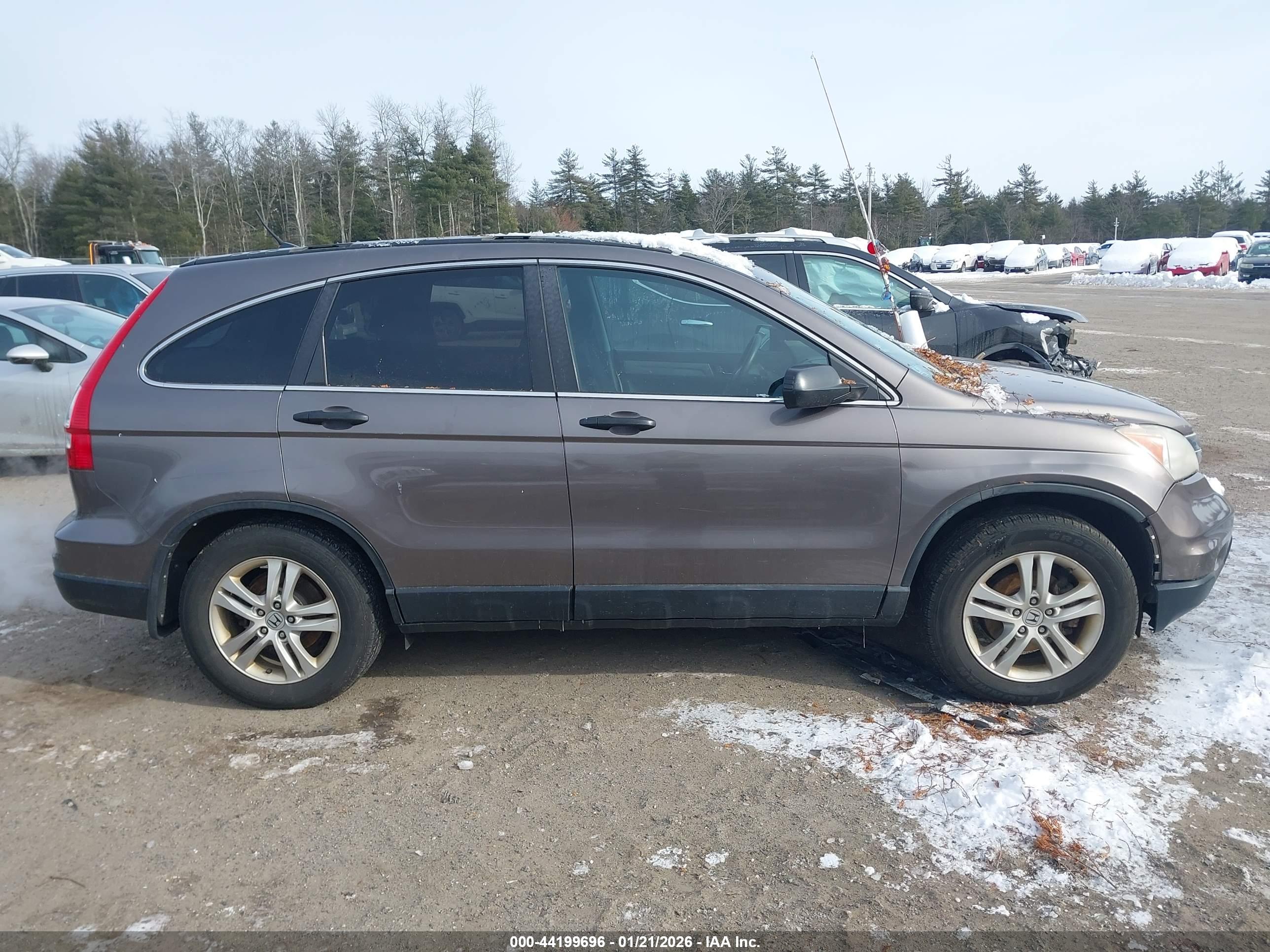 HONDA CR-V image 6