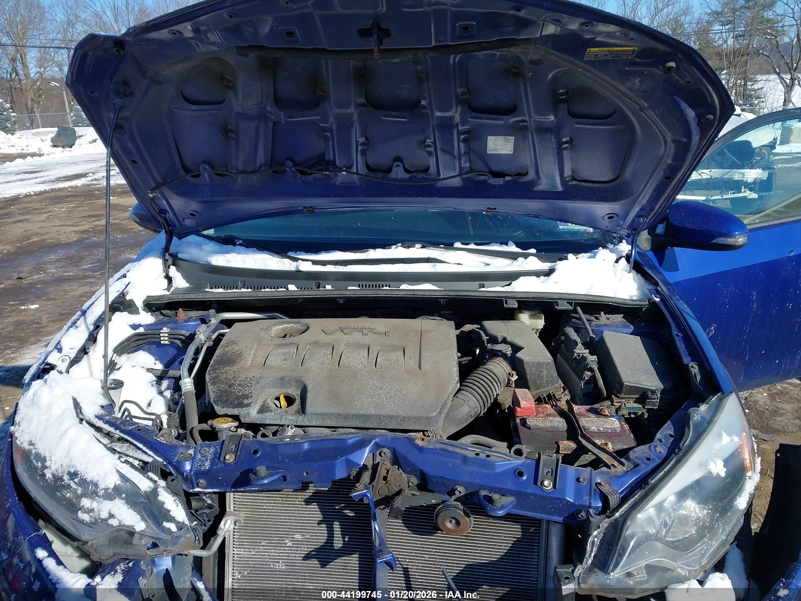 TOYOTA COROLLA image 10