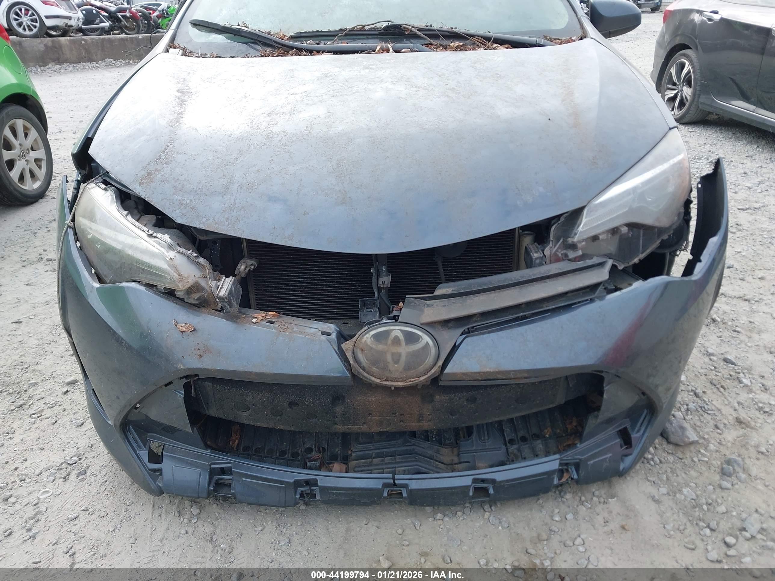 TOYOTA COROLLA image 6