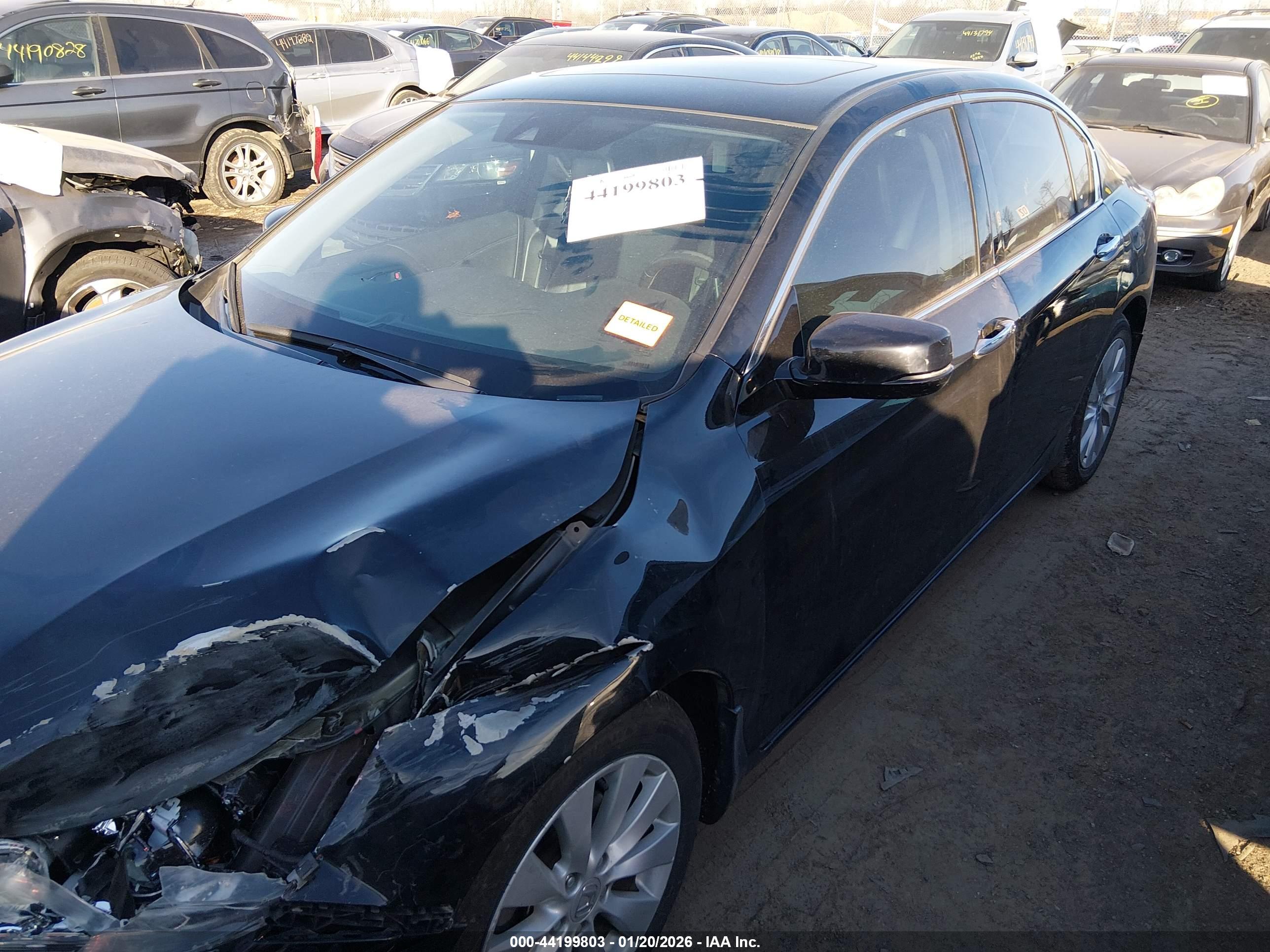 HONDA ACCORD image 2