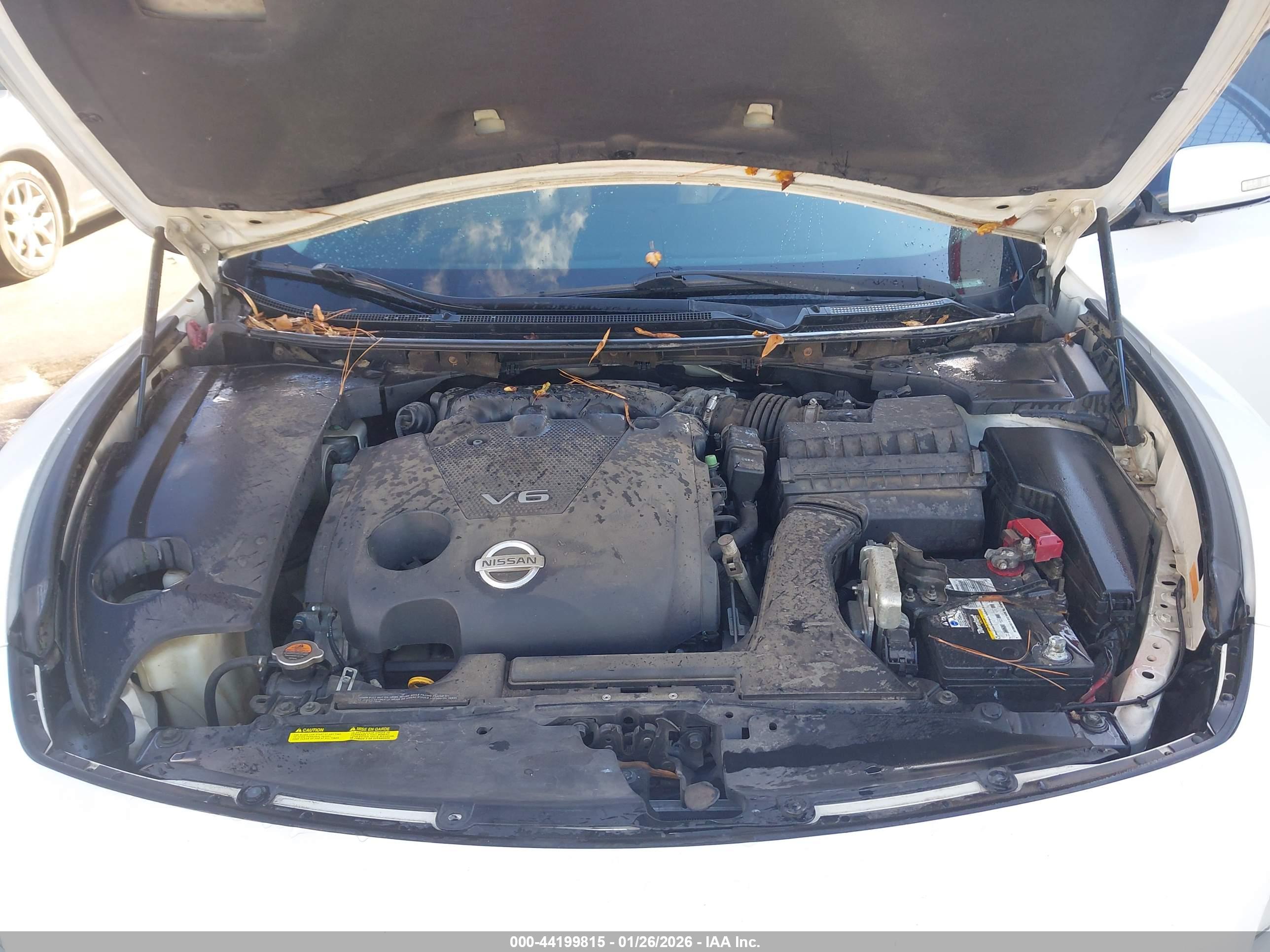NISSAN MAXIMA image 10
