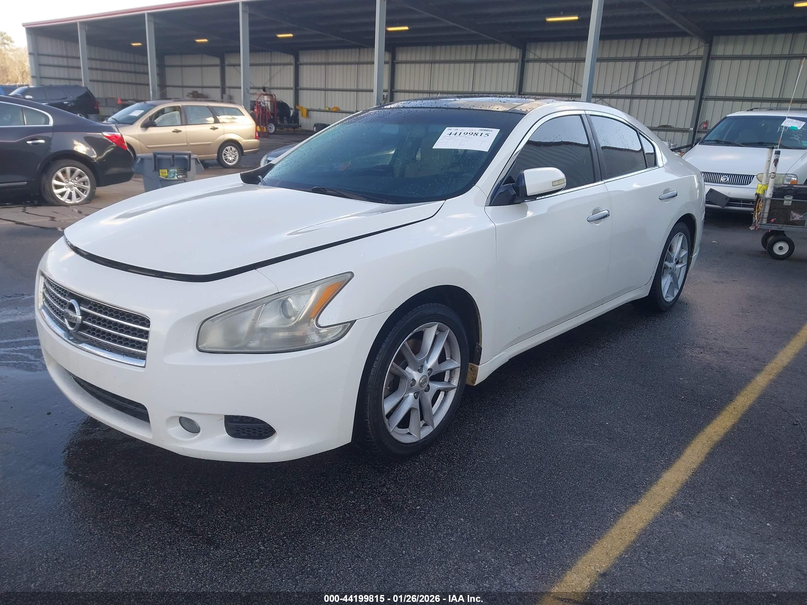 NISSAN MAXIMA image 2