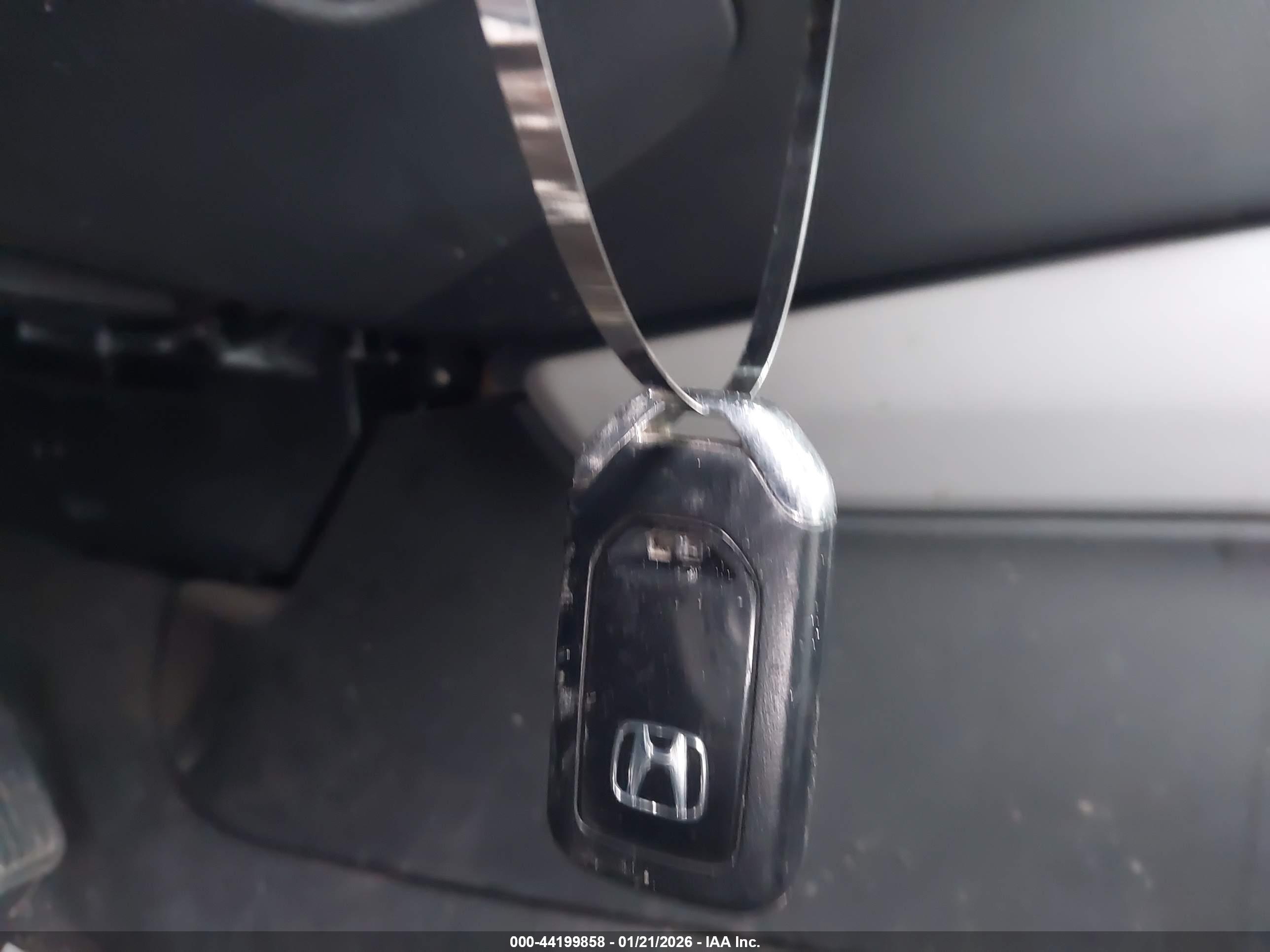 HONDA ACCORD image 11