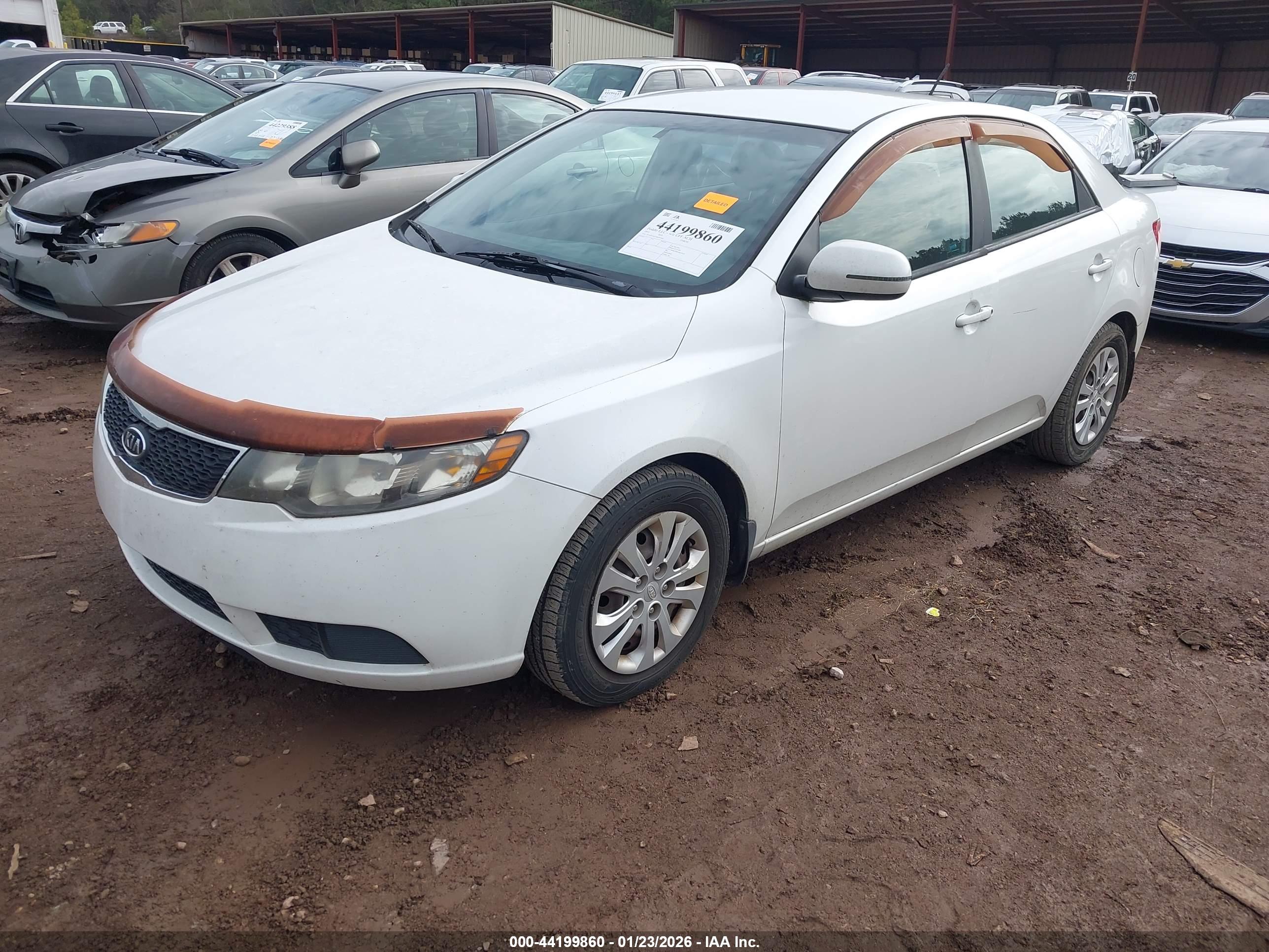KIA FORTE image 2