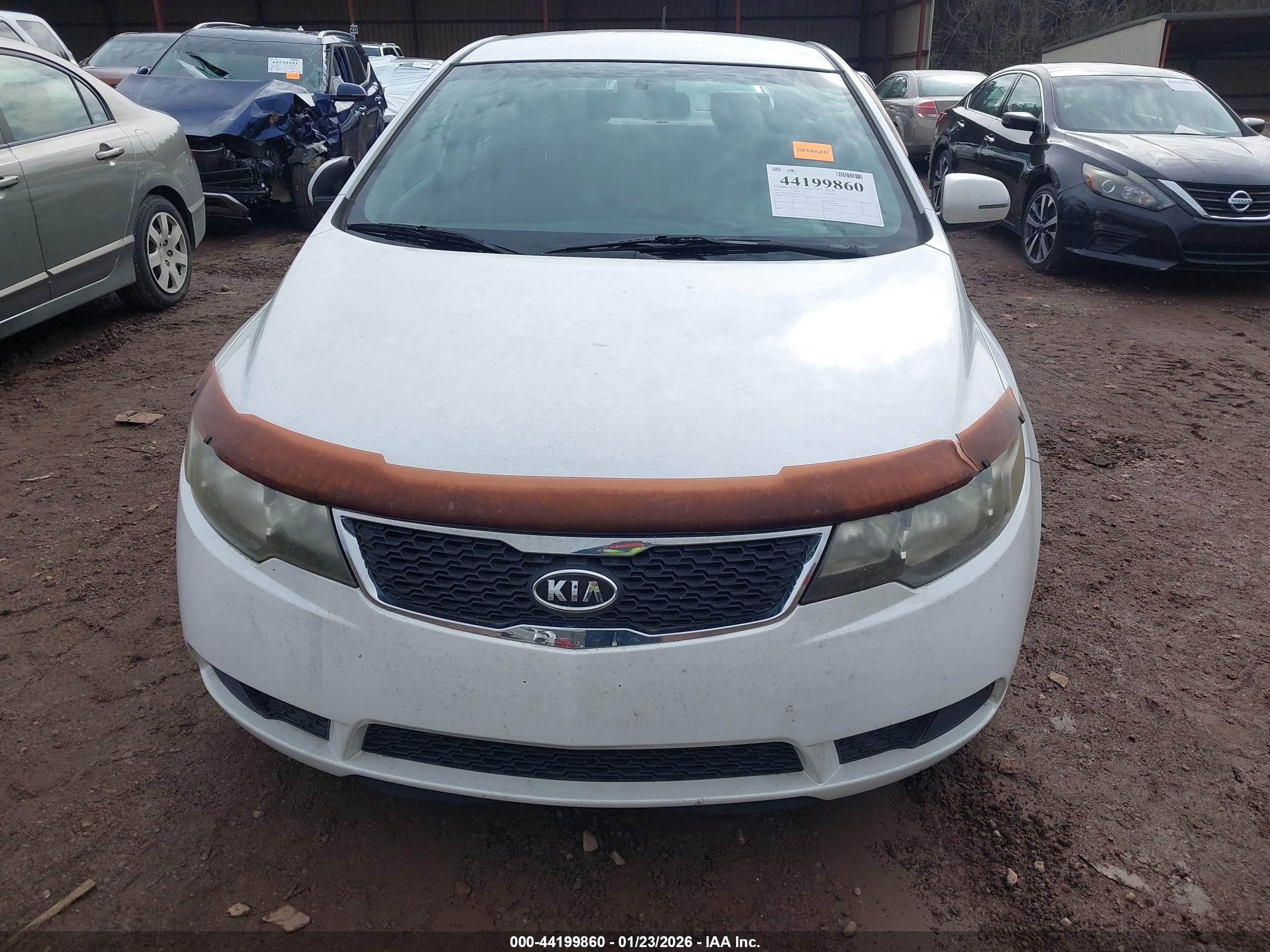 KIA FORTE image 6
