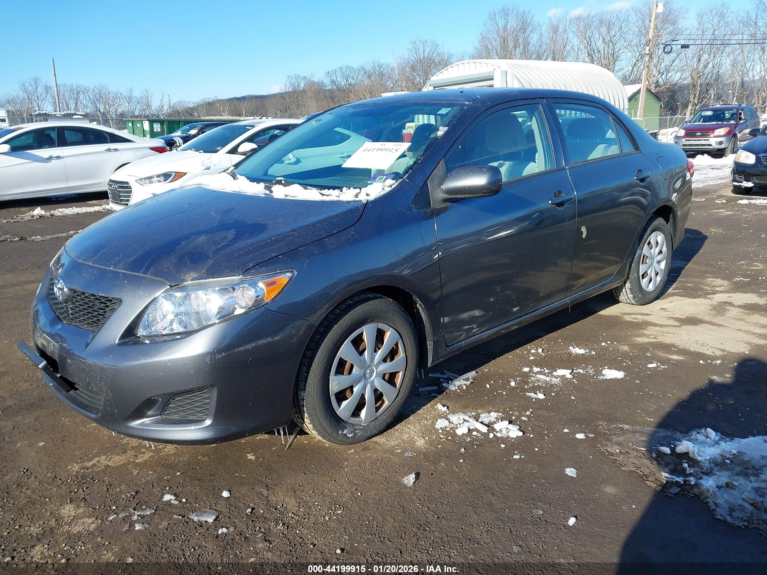 TOYOTA COROLLA image 2