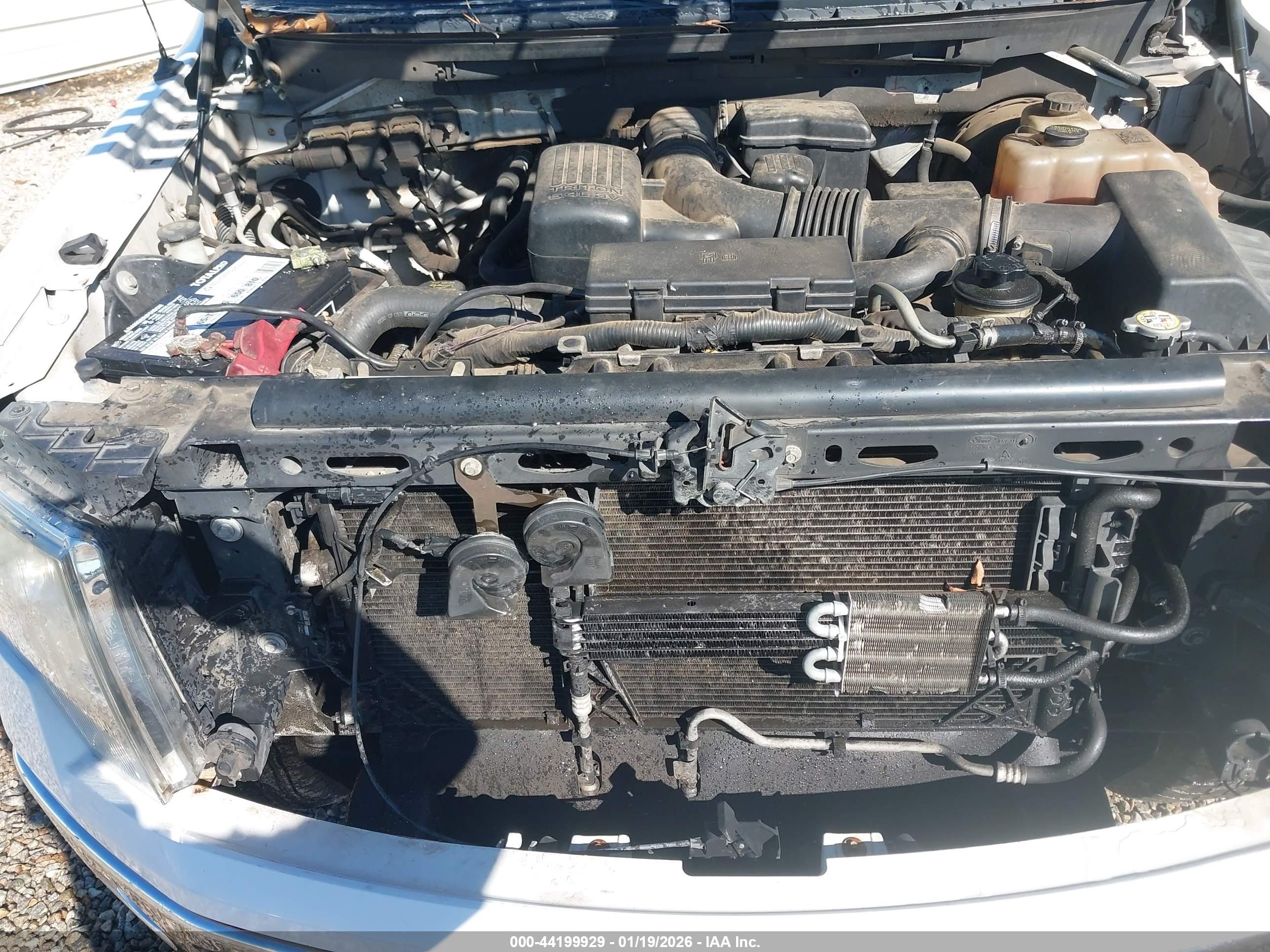 FORD F-150 image 10