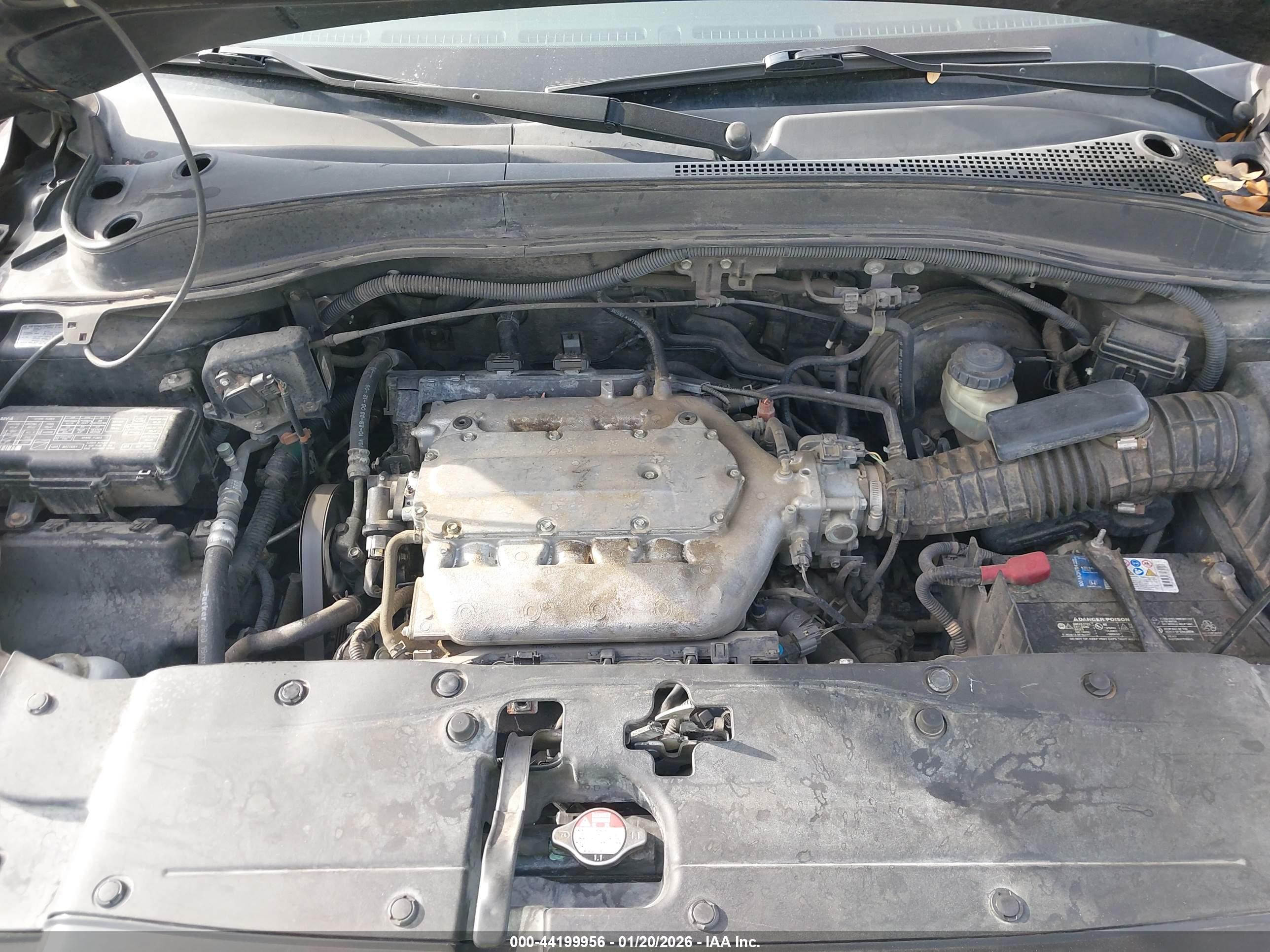 HONDA PILOT image 10