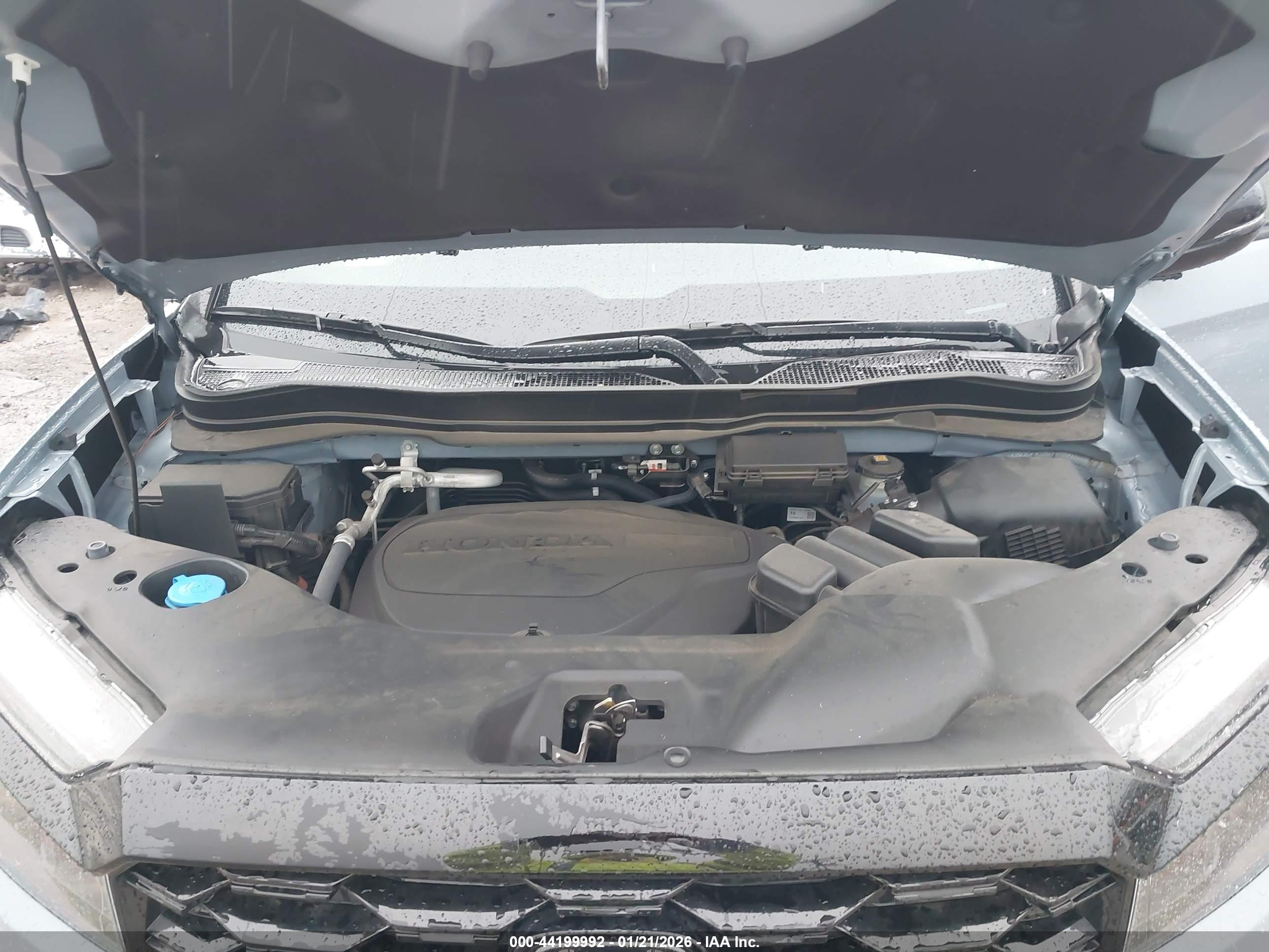 HONDA PASSPORT image 10