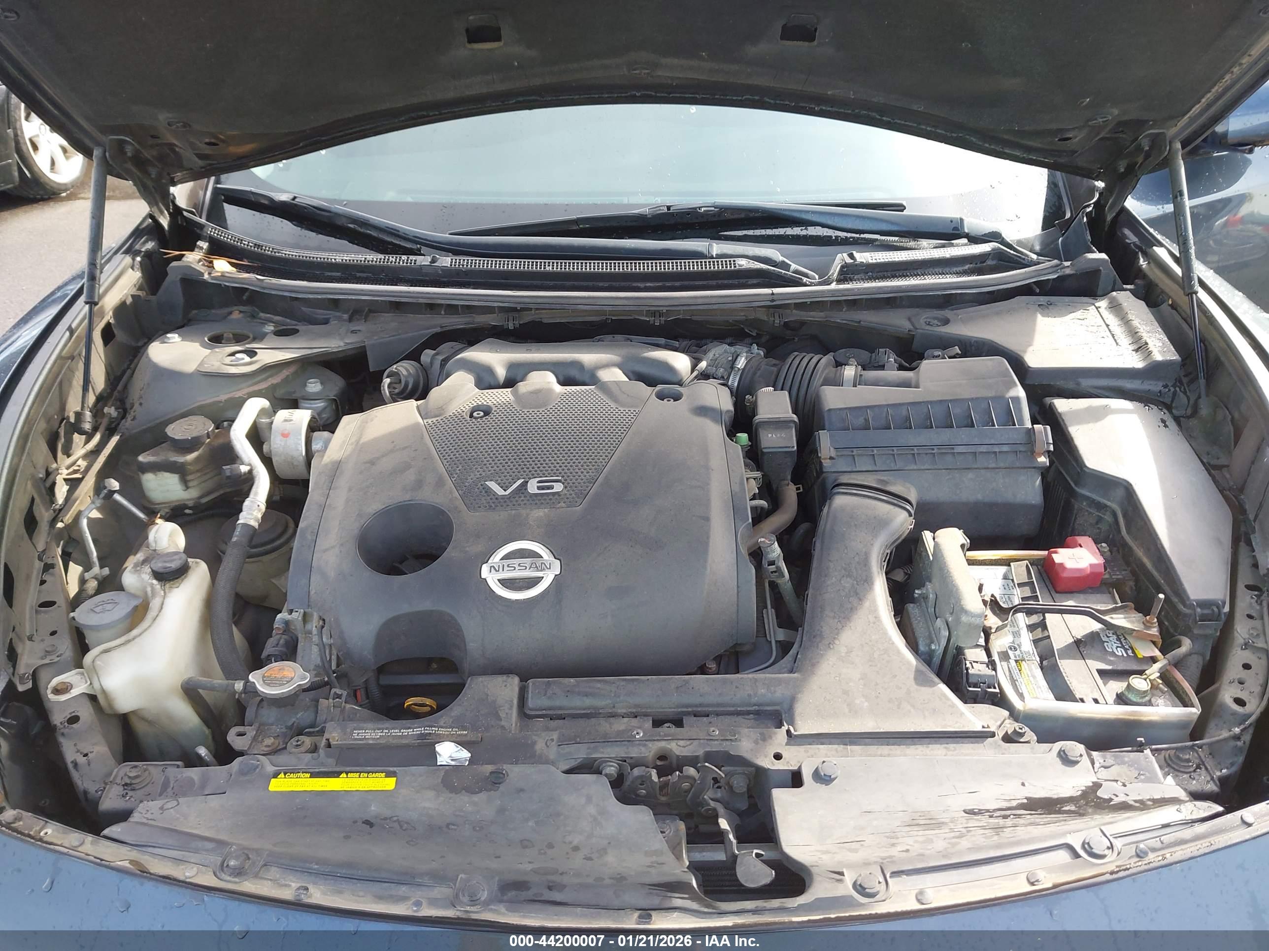 NISSAN MAXIMA image 10