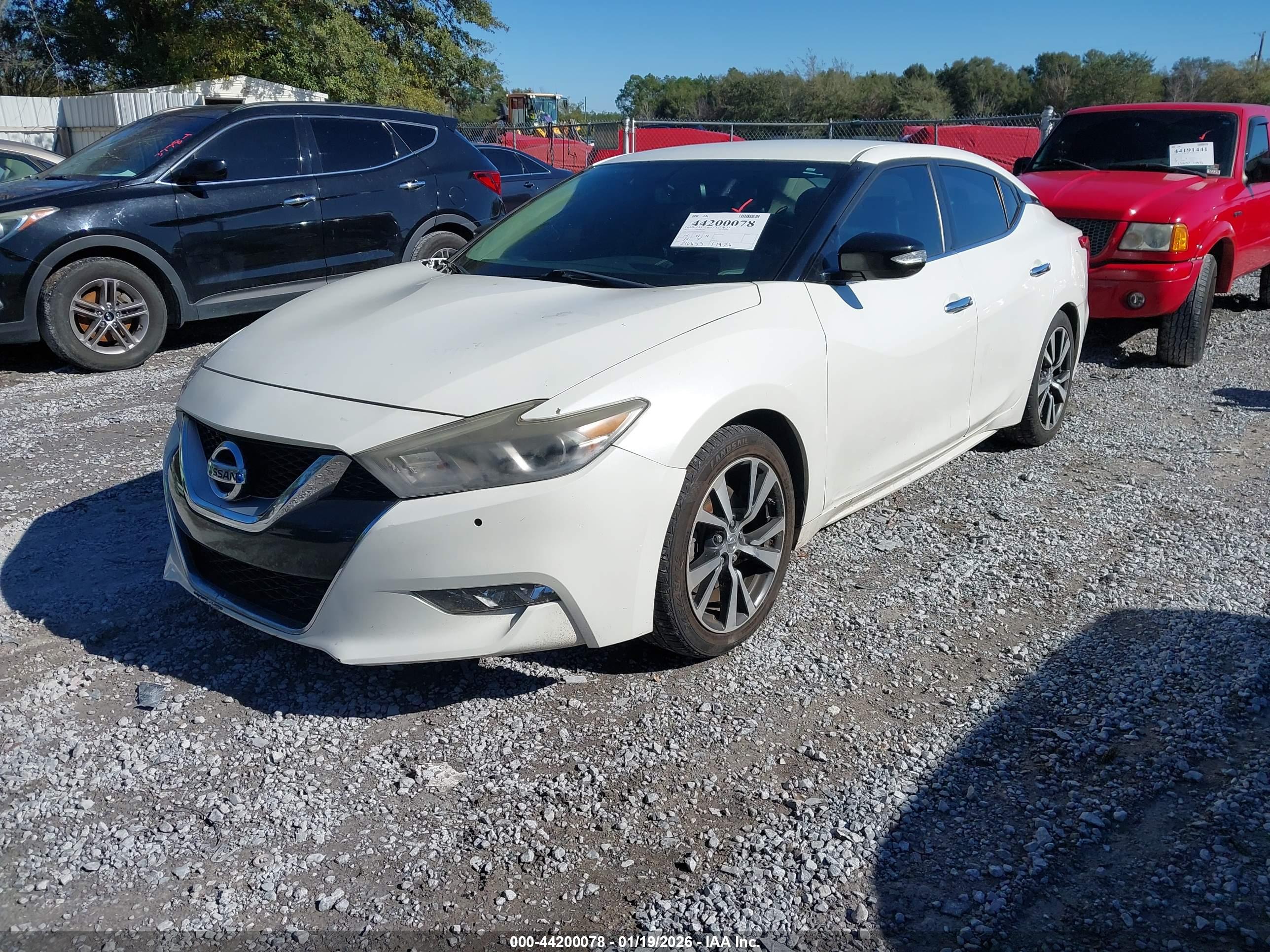 NISSAN MAXIMA image 2