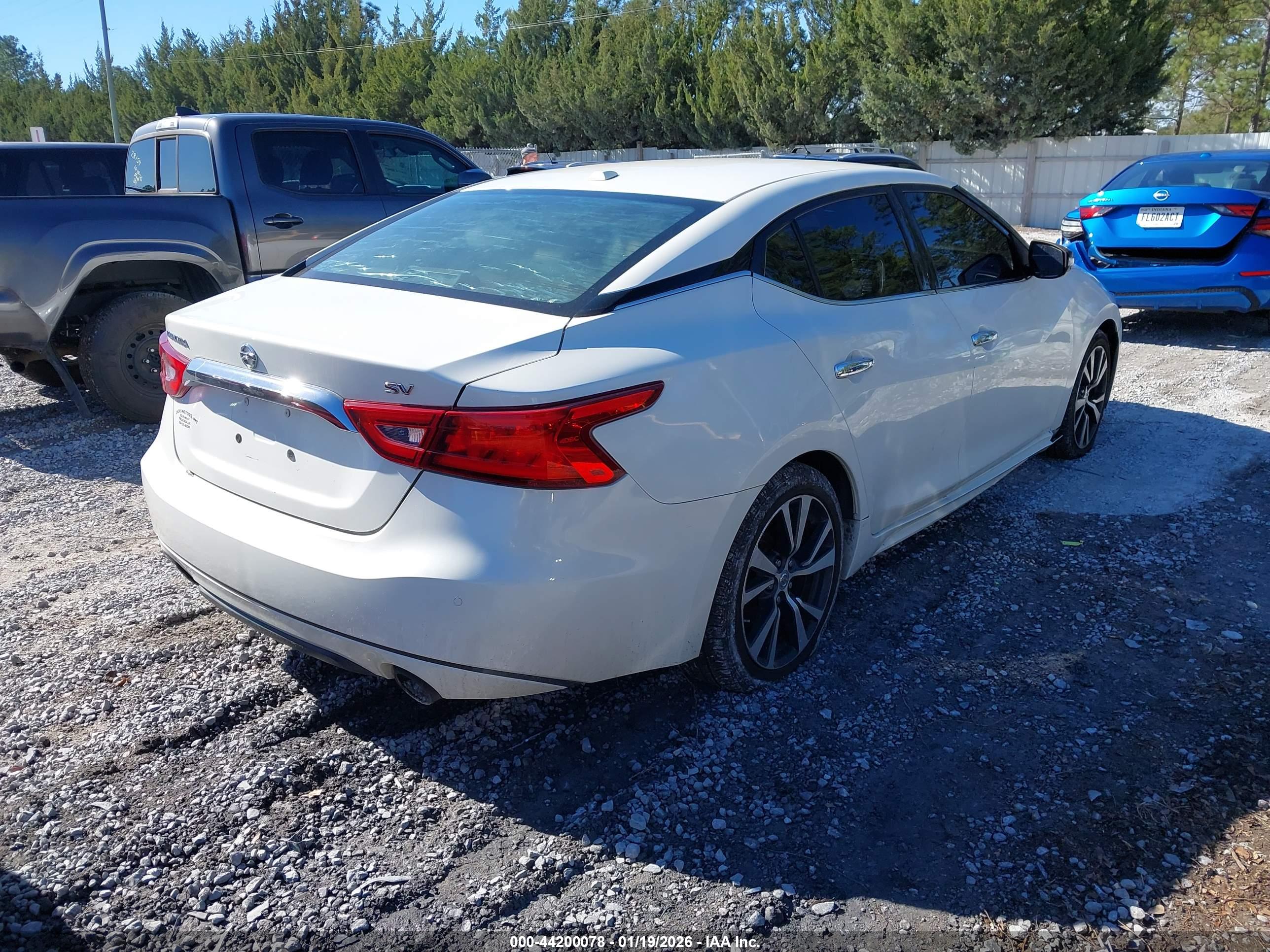NISSAN MAXIMA image 4