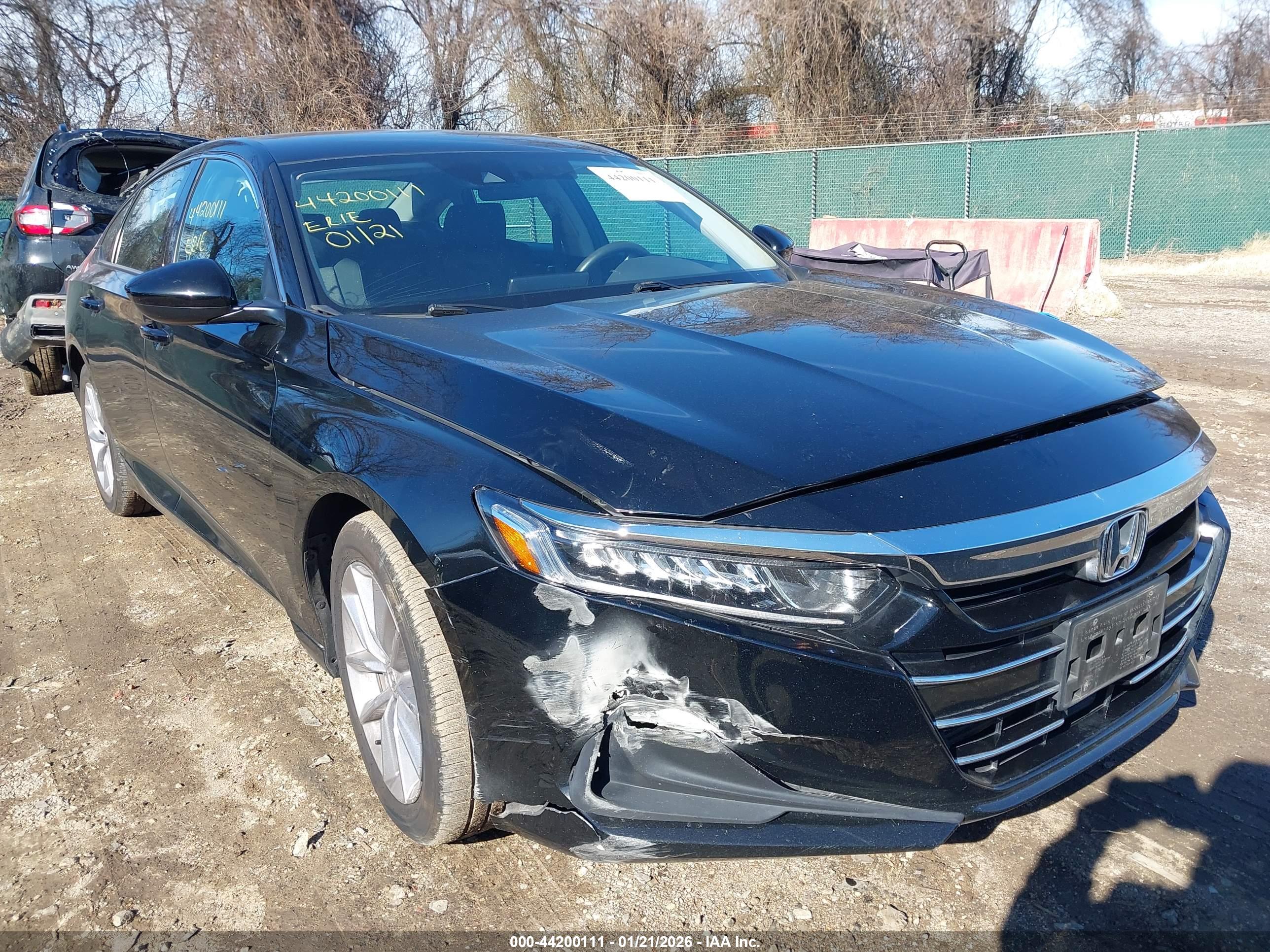 HONDA ACCORD image 6