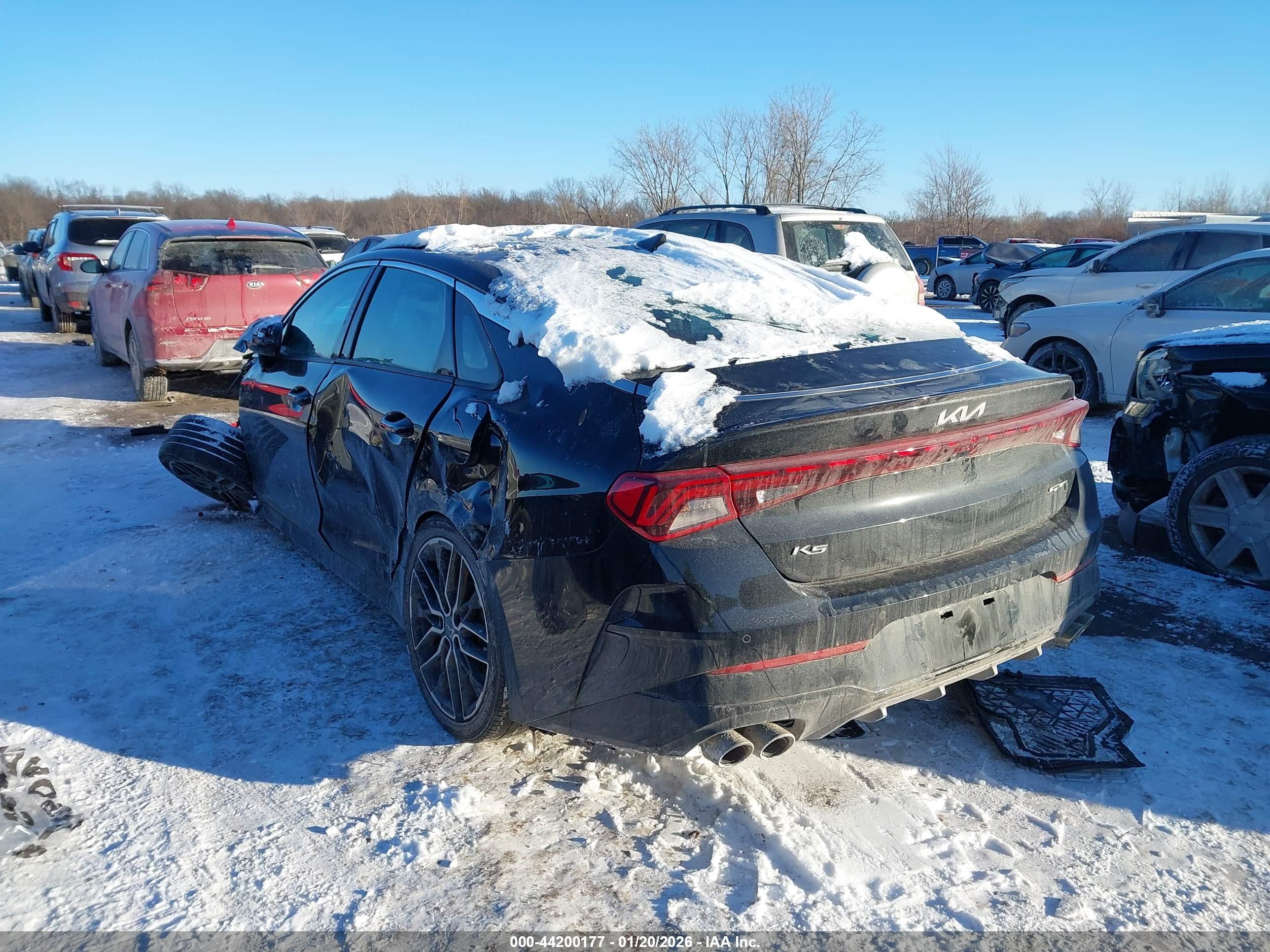 KIA K5 image 3