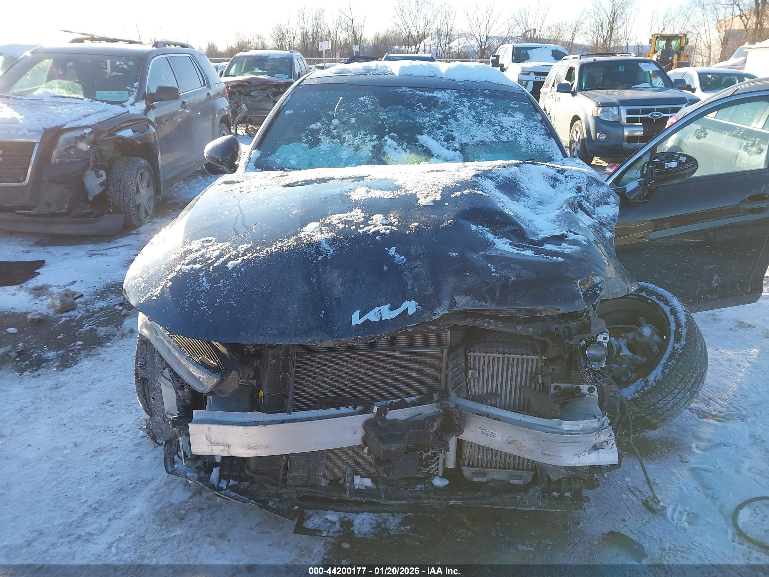KIA K5 image 6