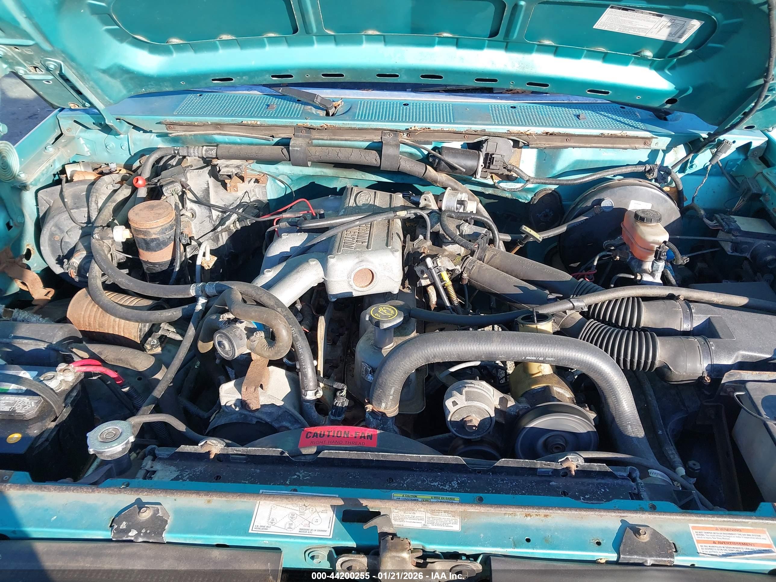 FORD F150 image 10