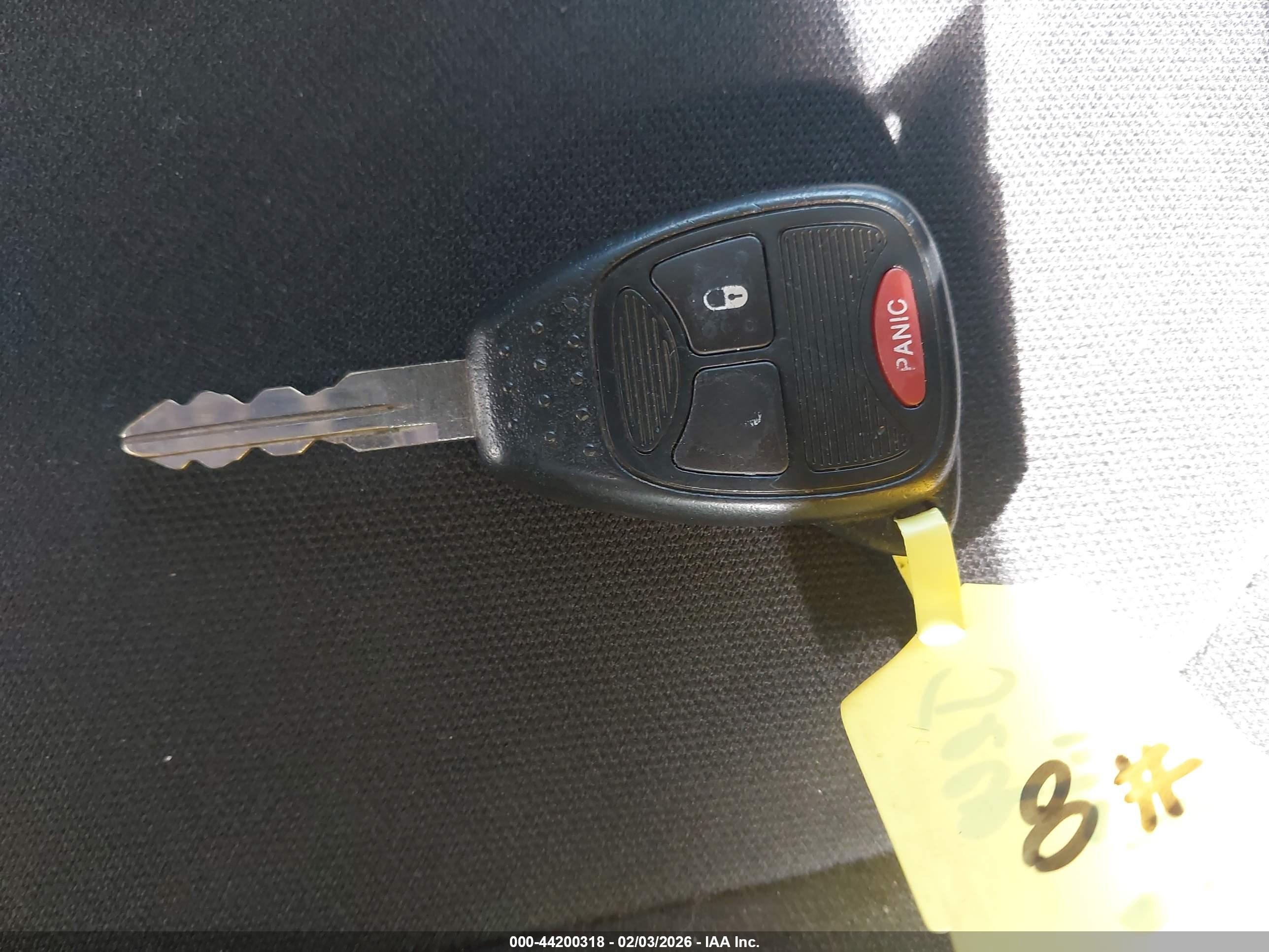 JEEP WRANGLER image 11