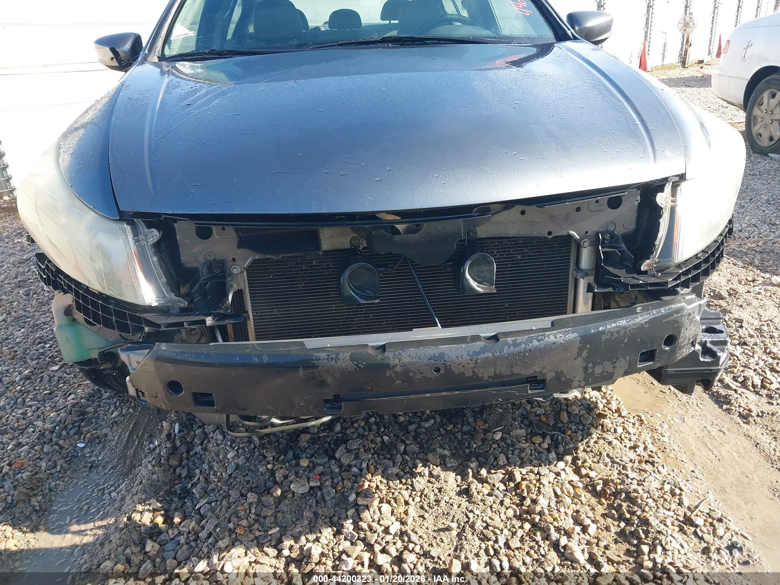 HONDA ACCORD image 6