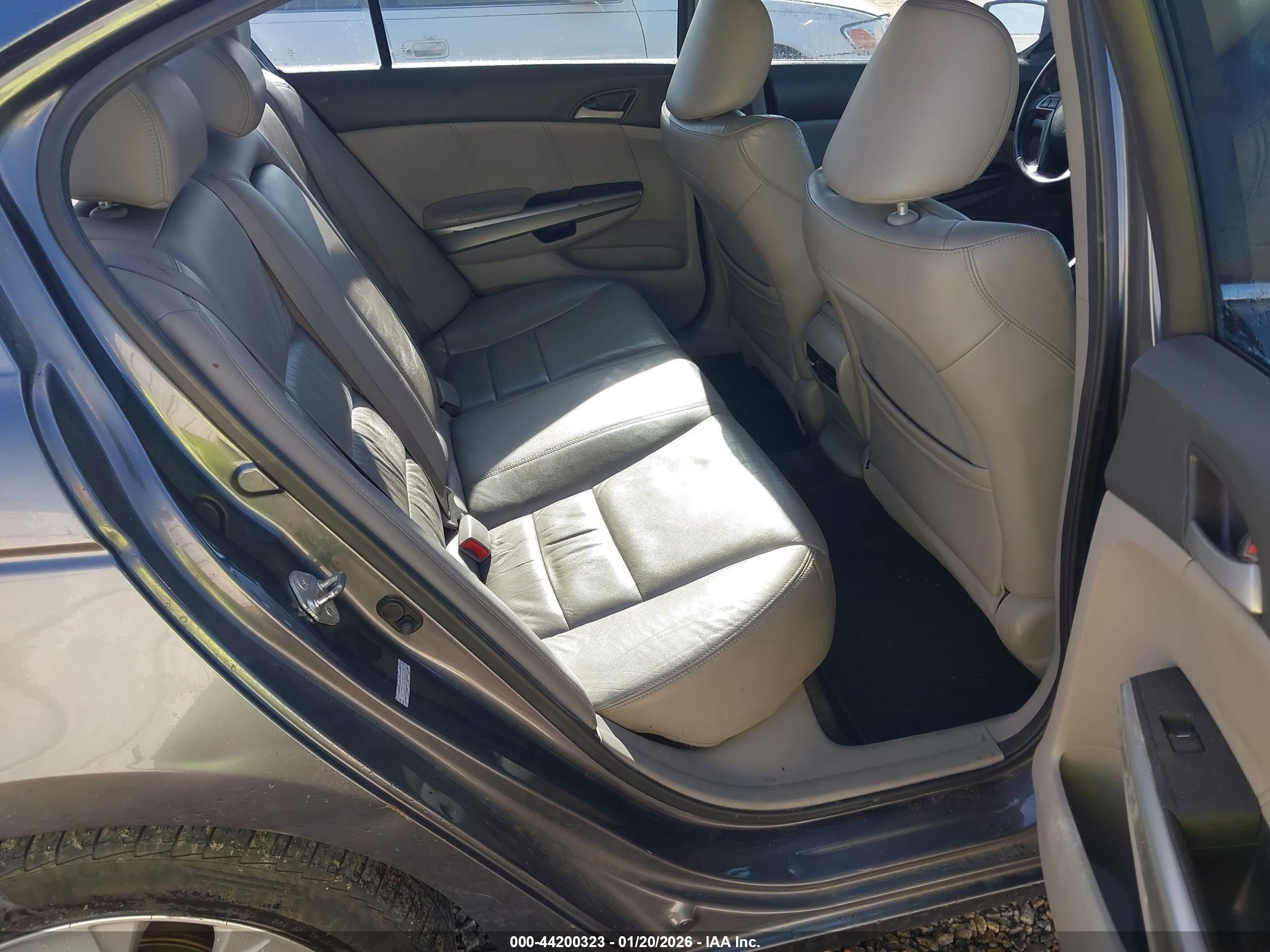 HONDA ACCORD image 8