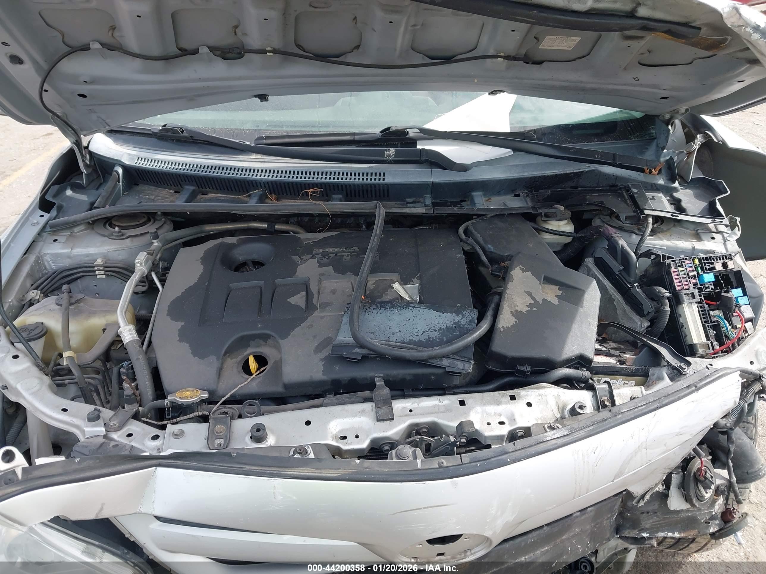 TOYOTA COROLLA image 10