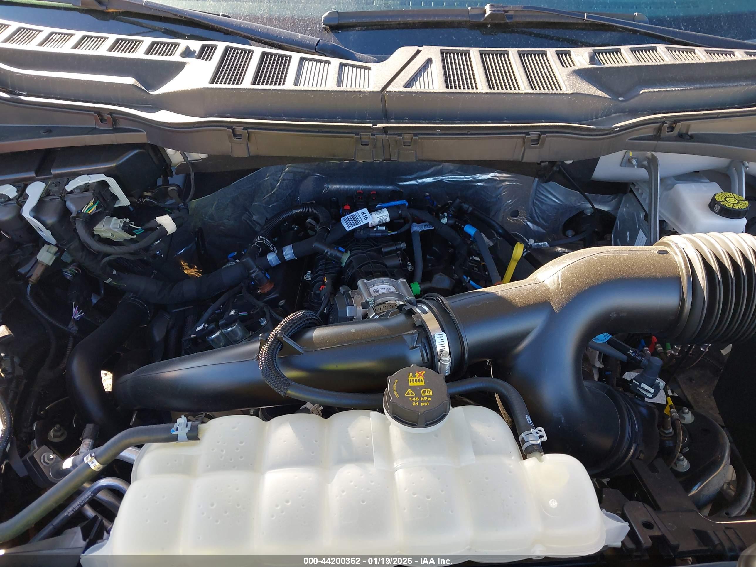 FORD F-150 image 10