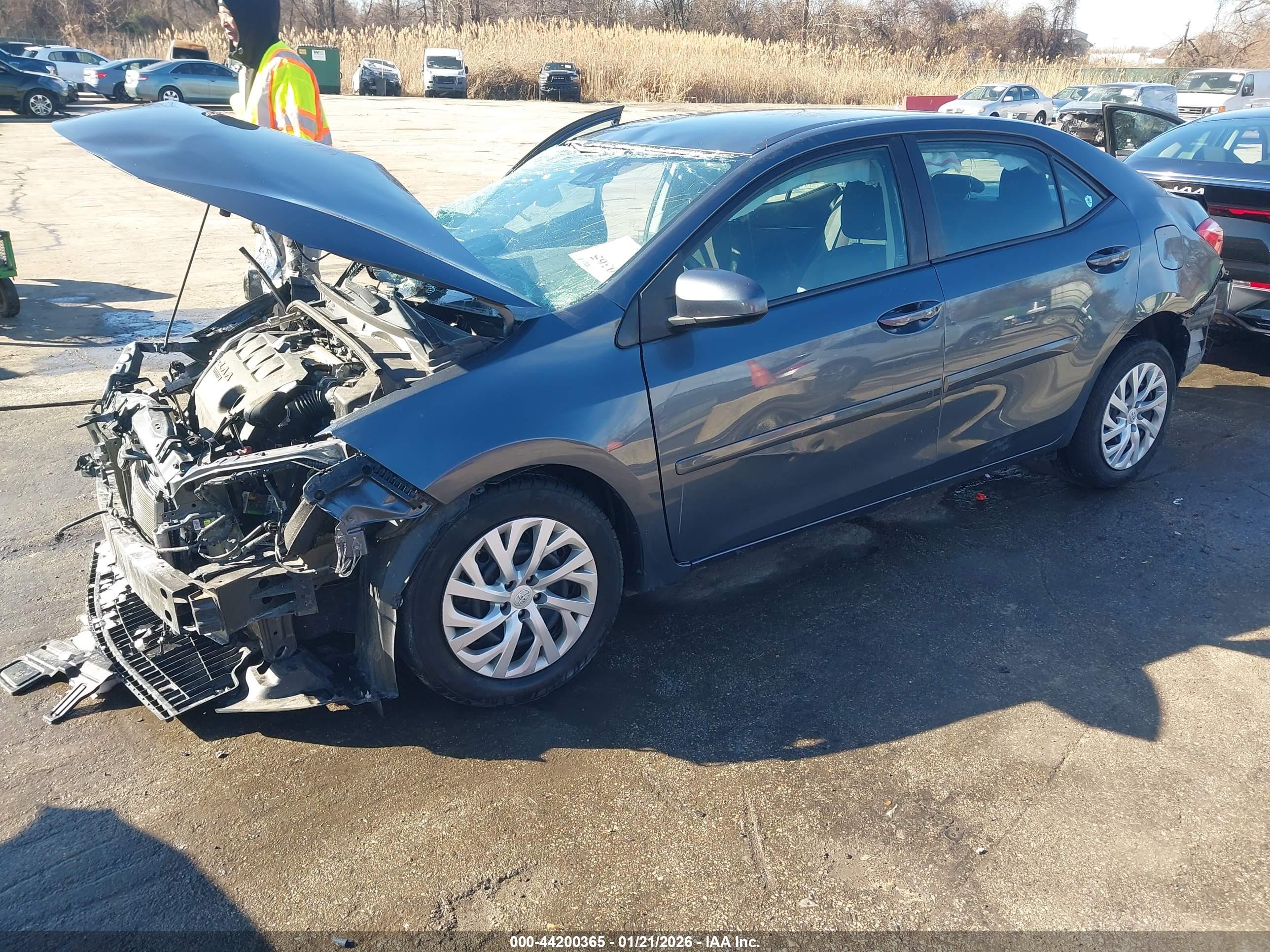TOYOTA COROLLA image 2