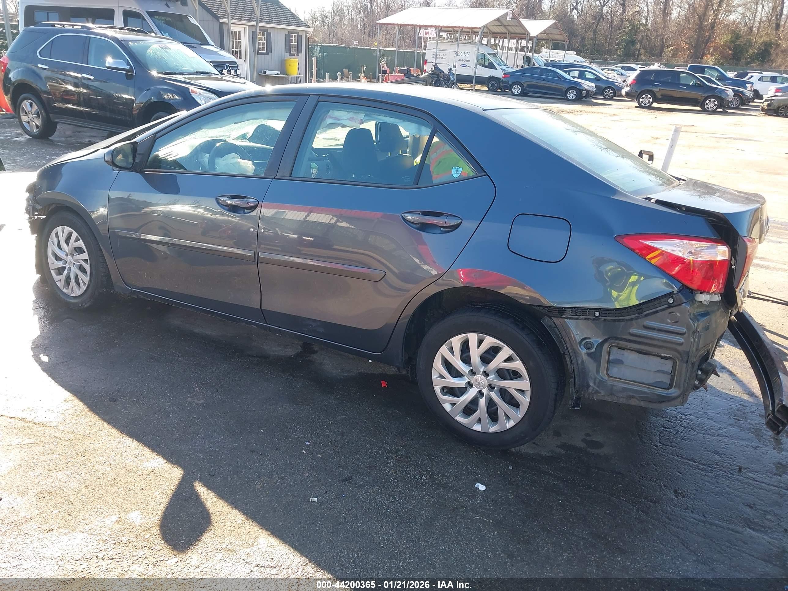 TOYOTA COROLLA image 3
