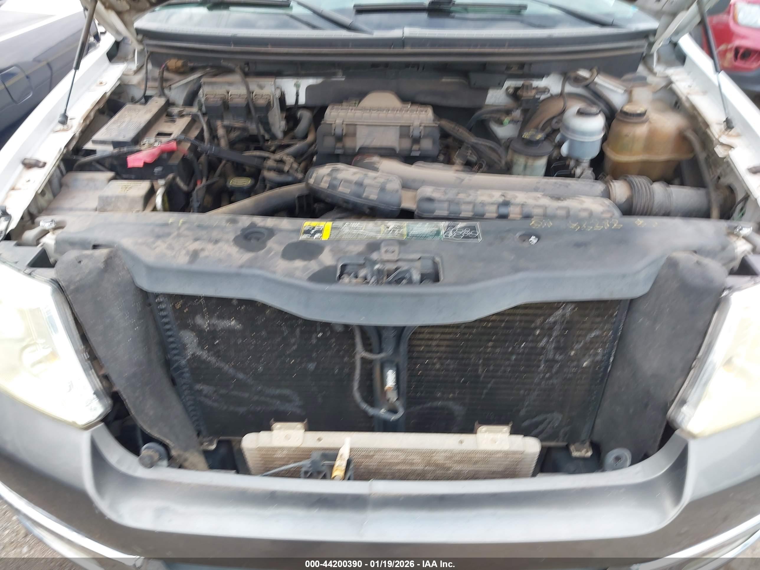 FORD F-150 image 10